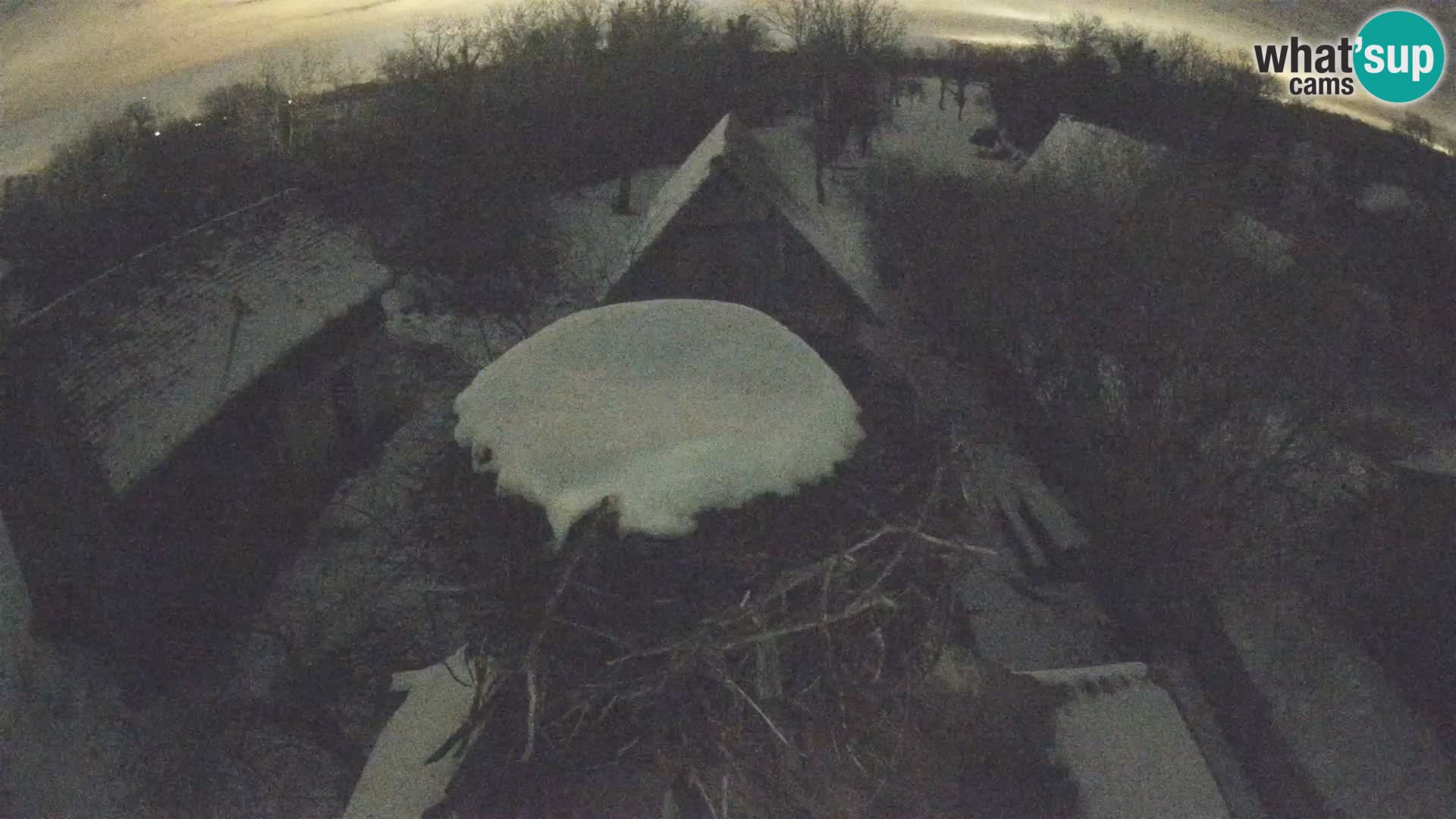 U živo Europsko selo roda – Park prirode Lonjsko polje