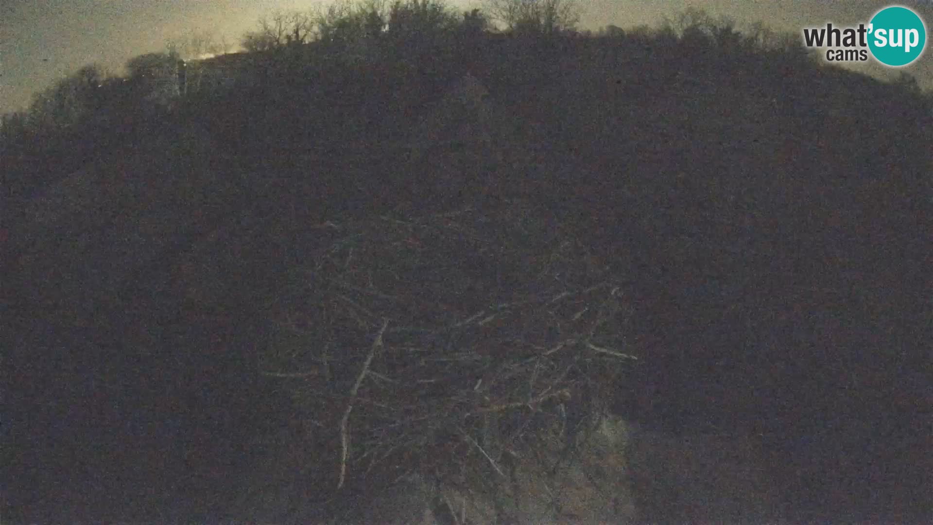 Pueblo europeo de cigüeñas camera en vivo Parque Natural Lonjsko polje