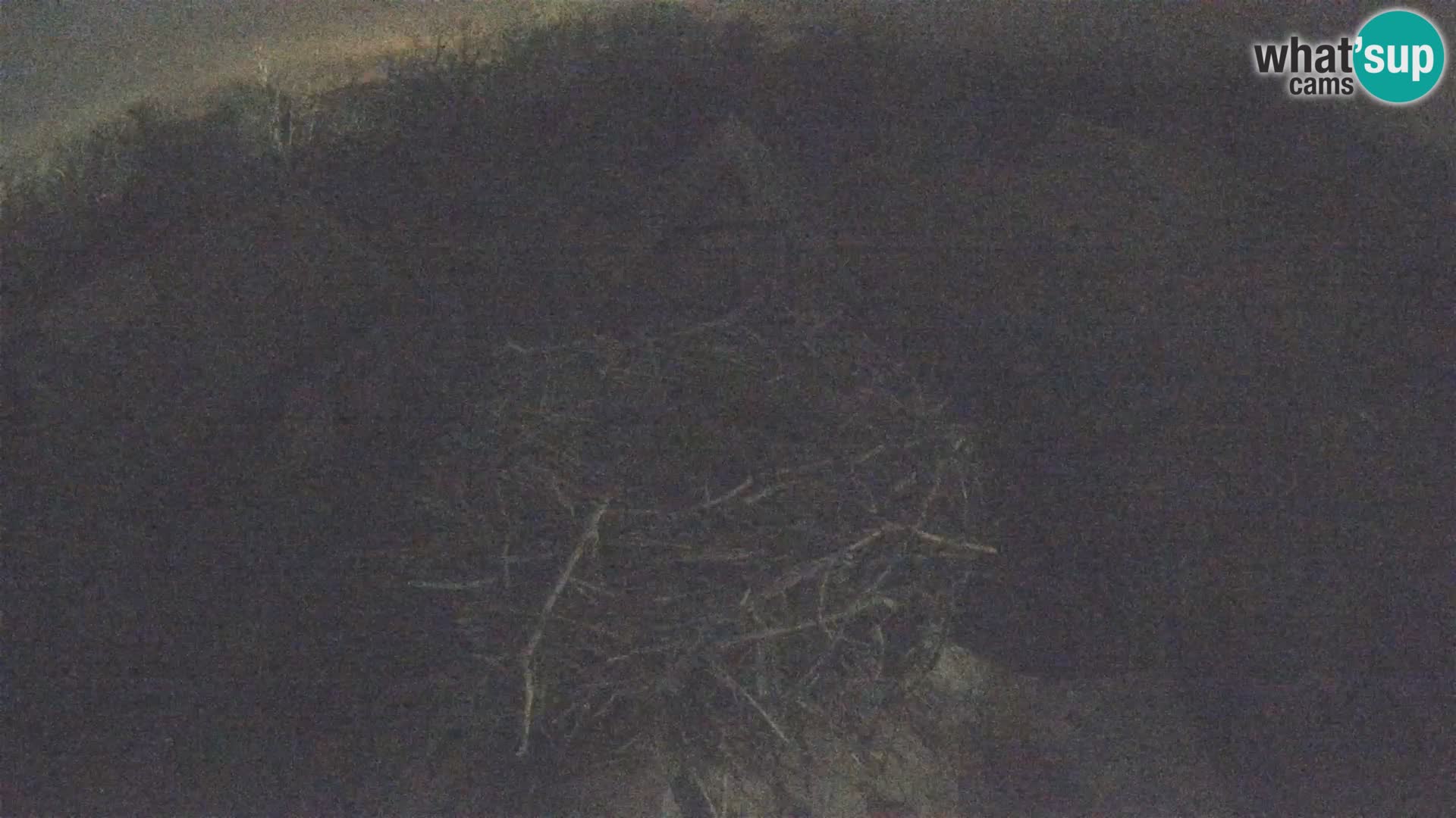 Village européen de cigognes webcam Parc naturel de Lonjsko polje