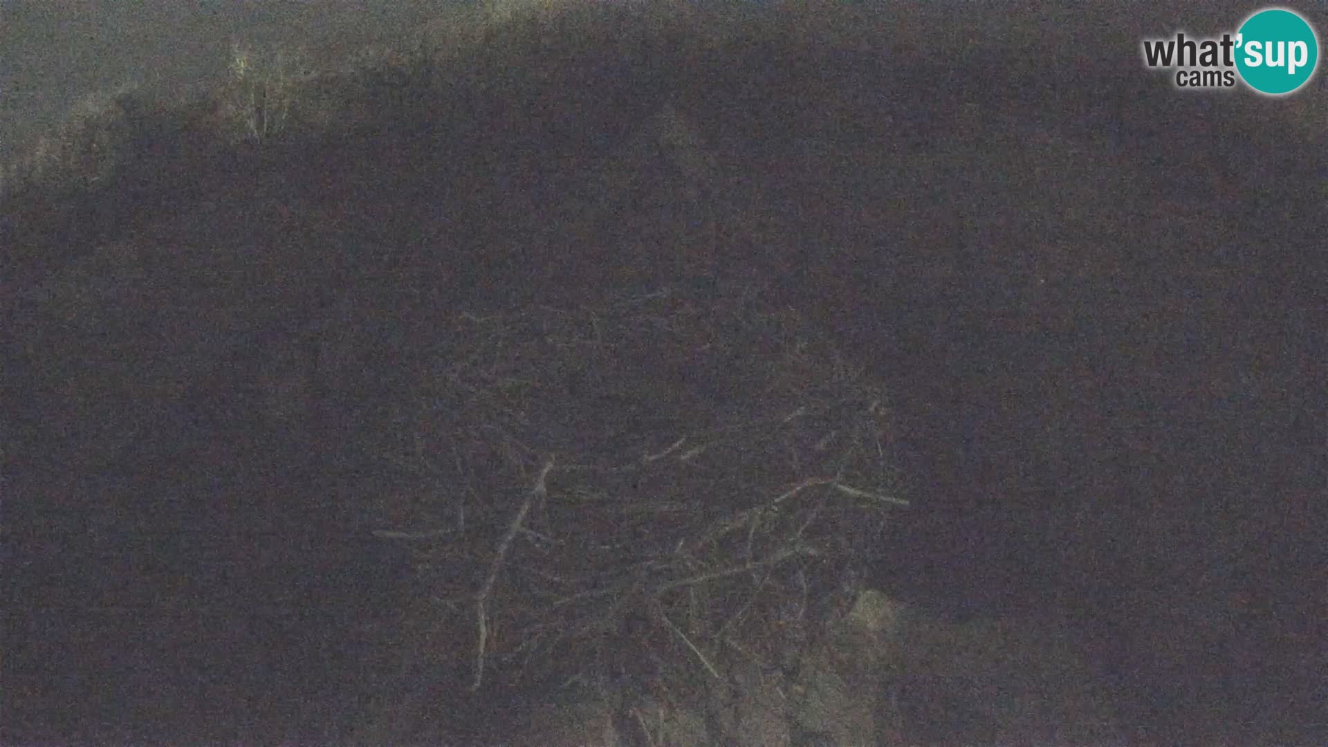 Village européen de cigognes webcam Parc naturel de Lonjsko polje