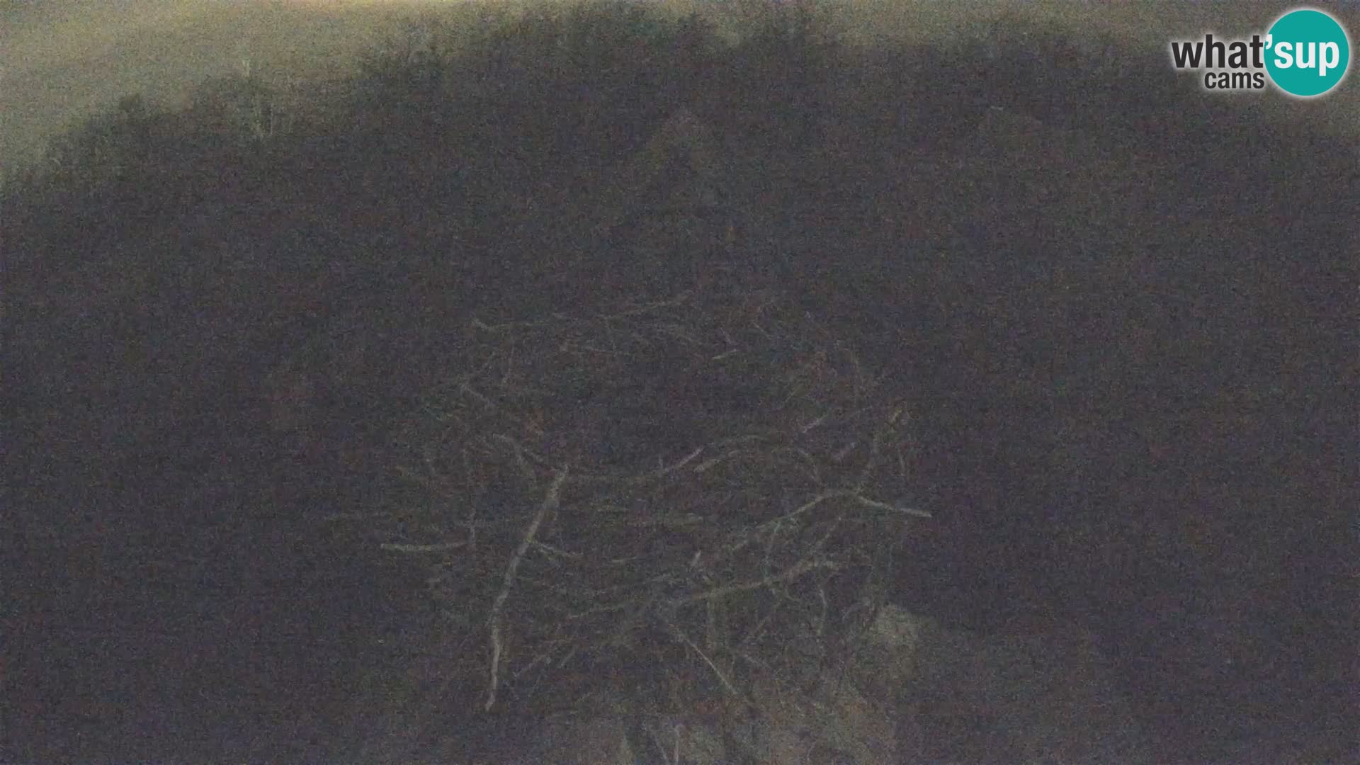 Villaggio delle cicogne europee webcam Parco naturale di Lonjsko polje