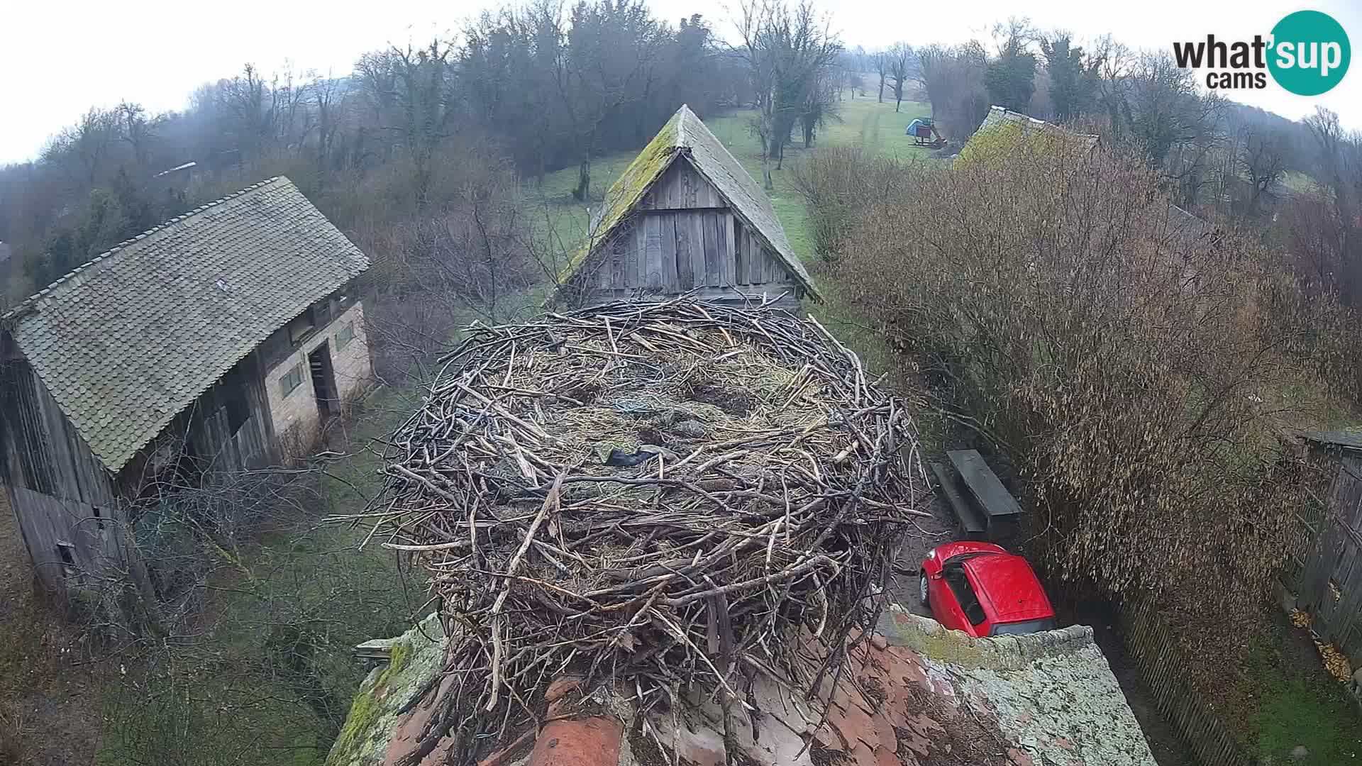 U živo Europsko selo roda – Park prirode Lonjsko polje