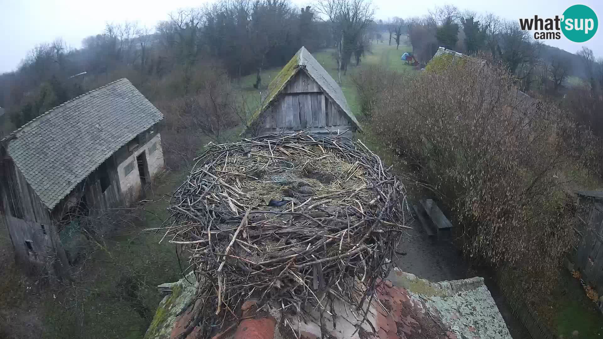 U živo Europsko selo roda – Park prirode Lonjsko polje