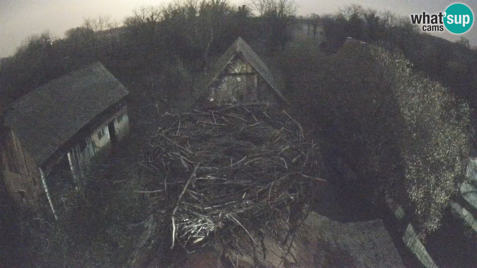Webcam Europäisches Storchendorf – Naturpark Lonjsko polje