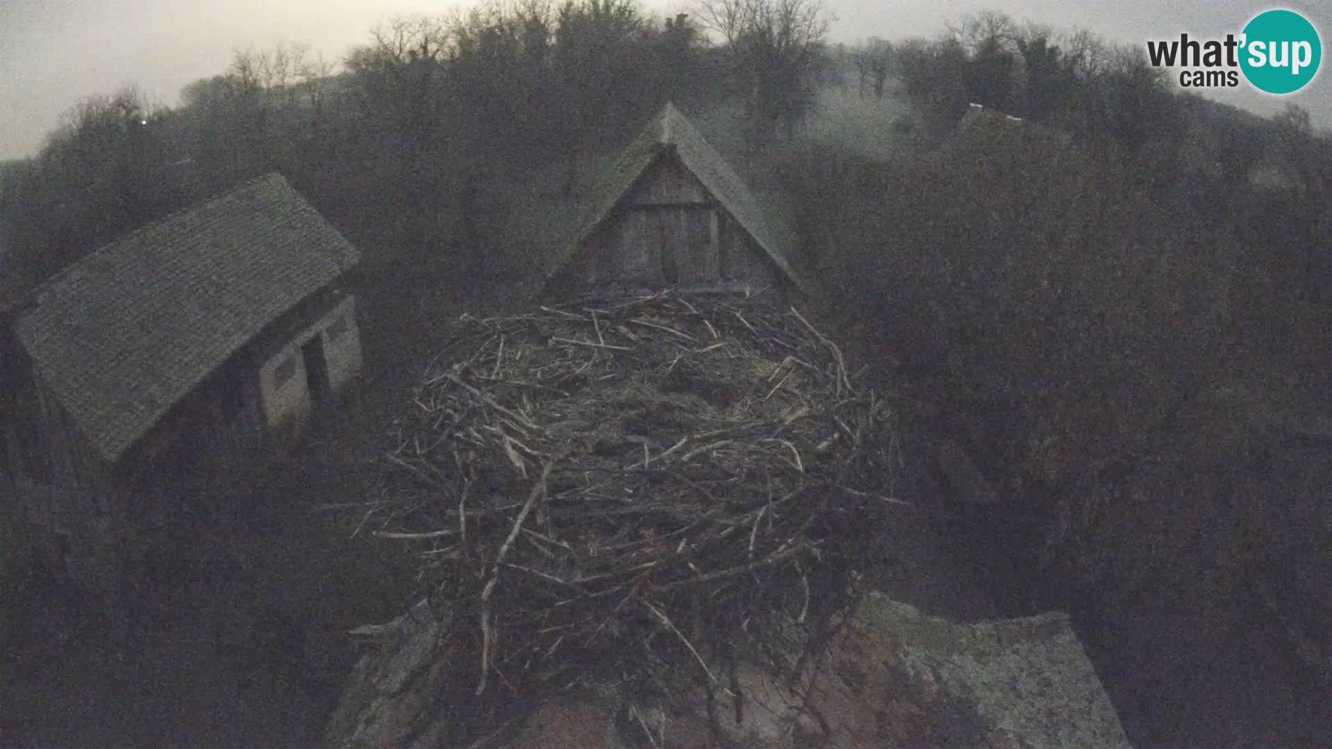 U živo Europsko selo roda – Park prirode Lonjsko polje