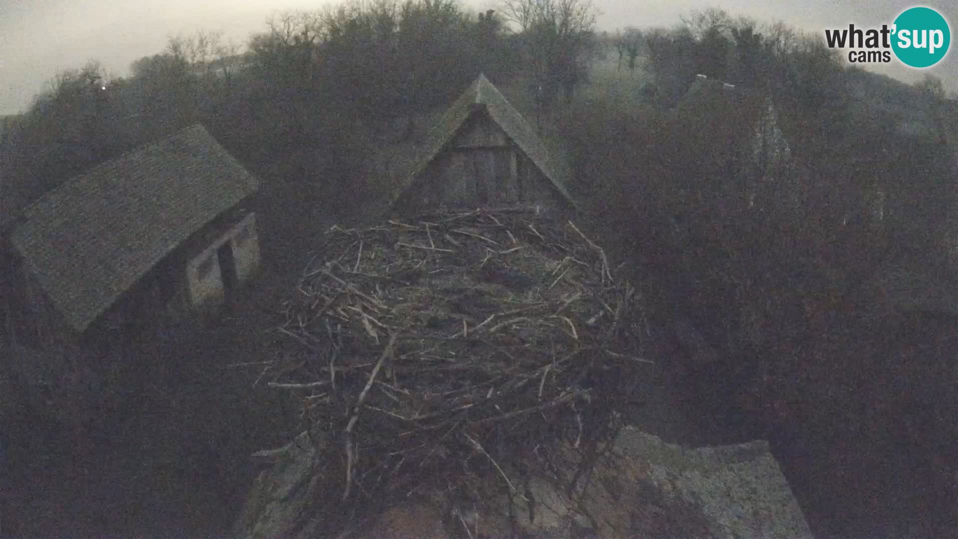 U živo Europsko selo roda – Park prirode Lonjsko polje