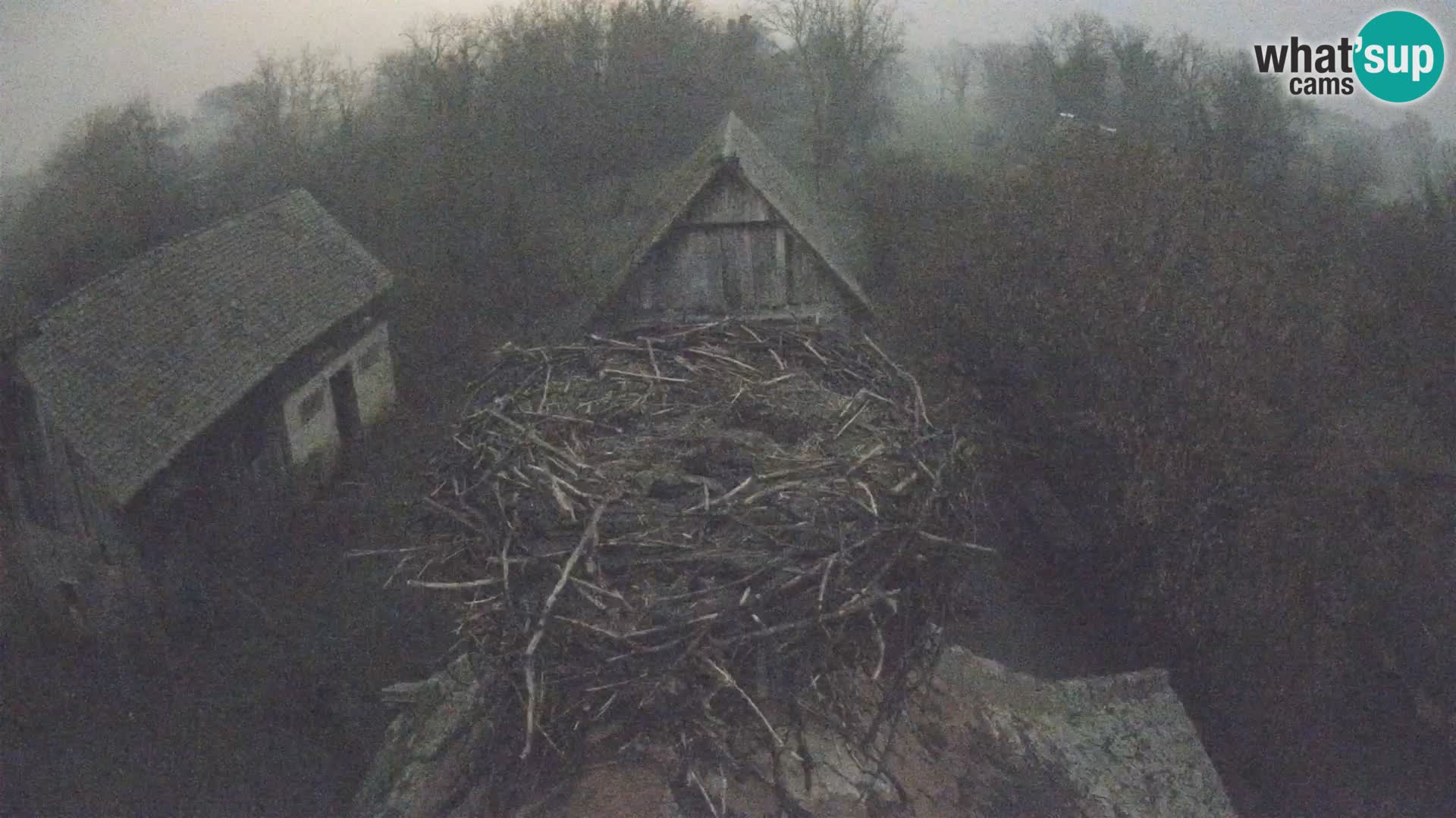 U živo Europsko selo roda – Park prirode Lonjsko polje