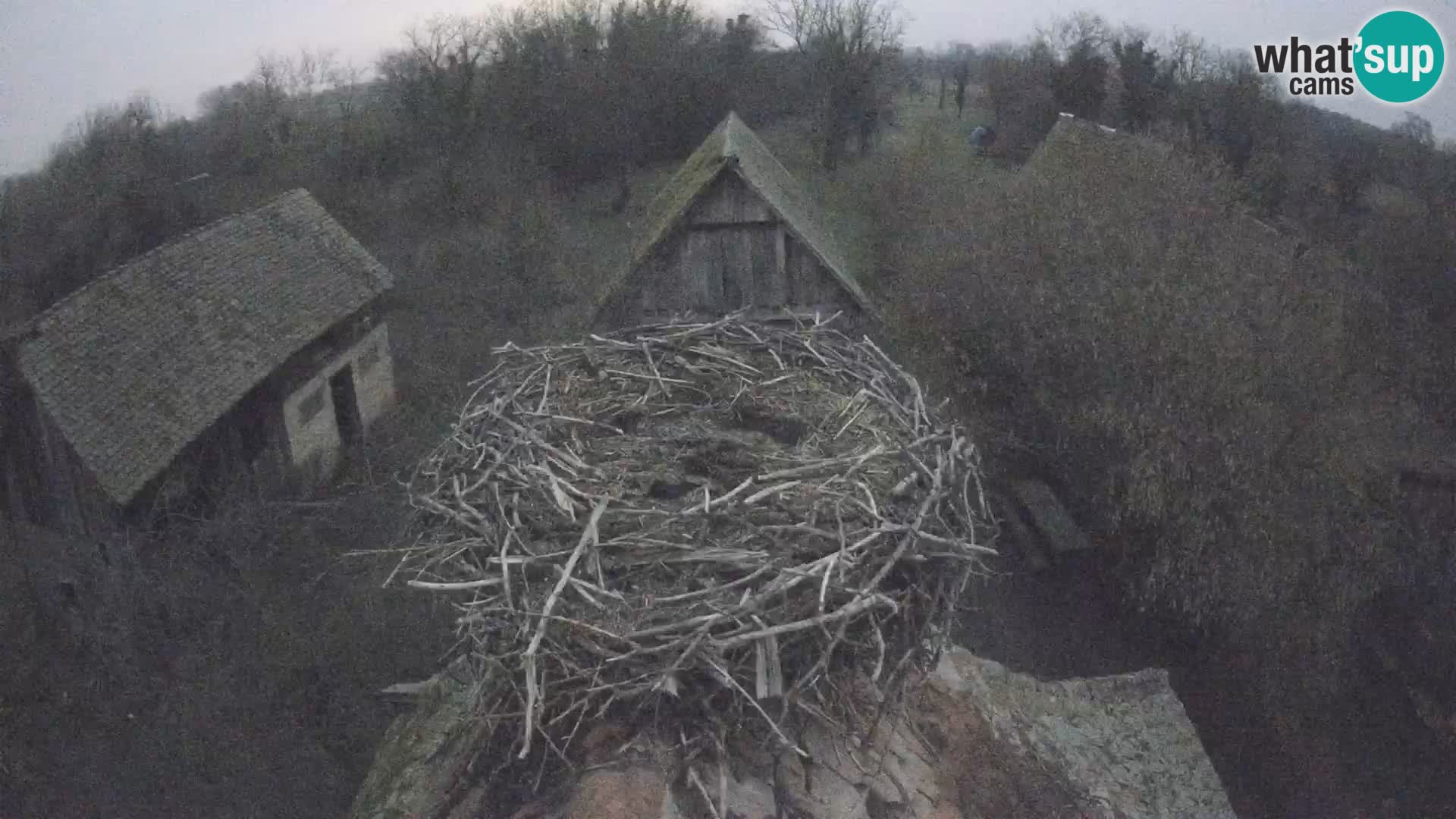U živo Europsko selo roda – Park prirode Lonjsko polje