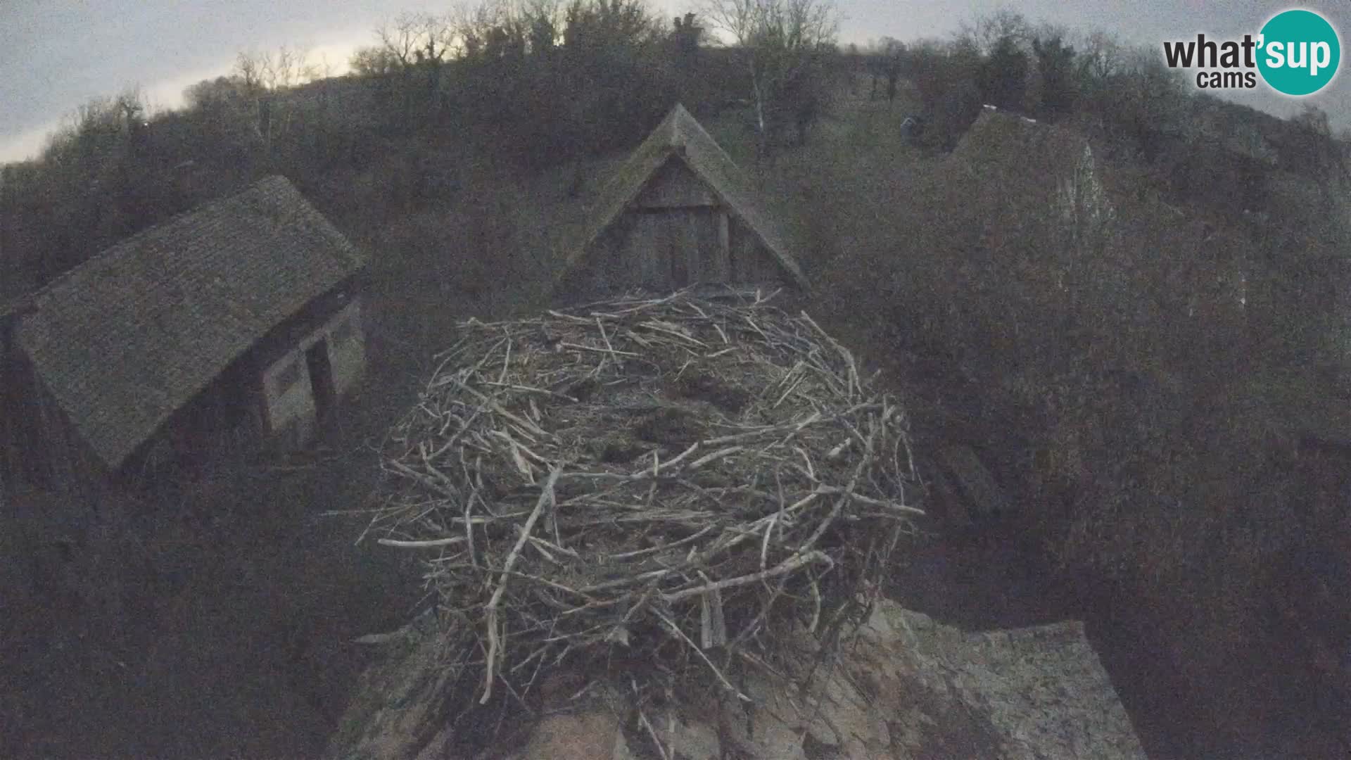 Webcam Europäisches Storchendorf – Naturpark Lonjsko polje