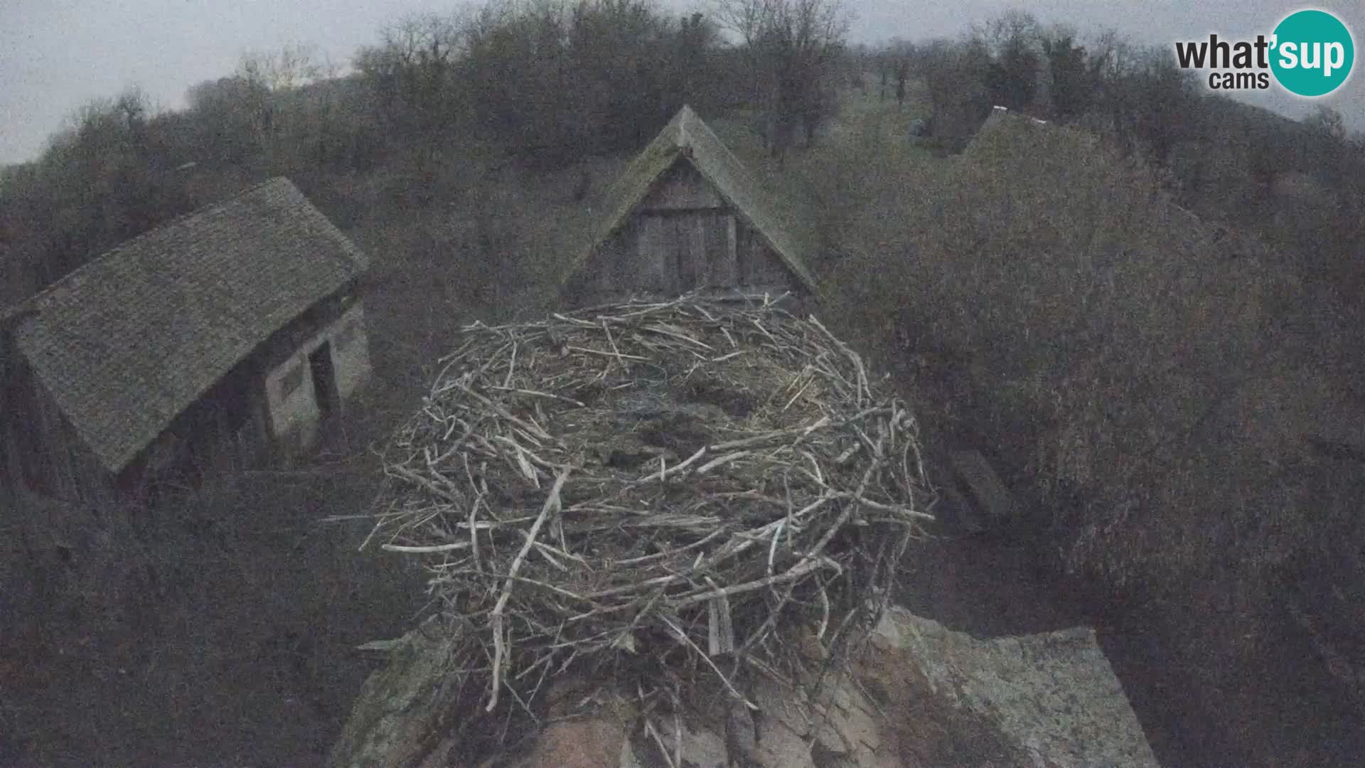 U živo Europsko selo roda – Park prirode Lonjsko polje