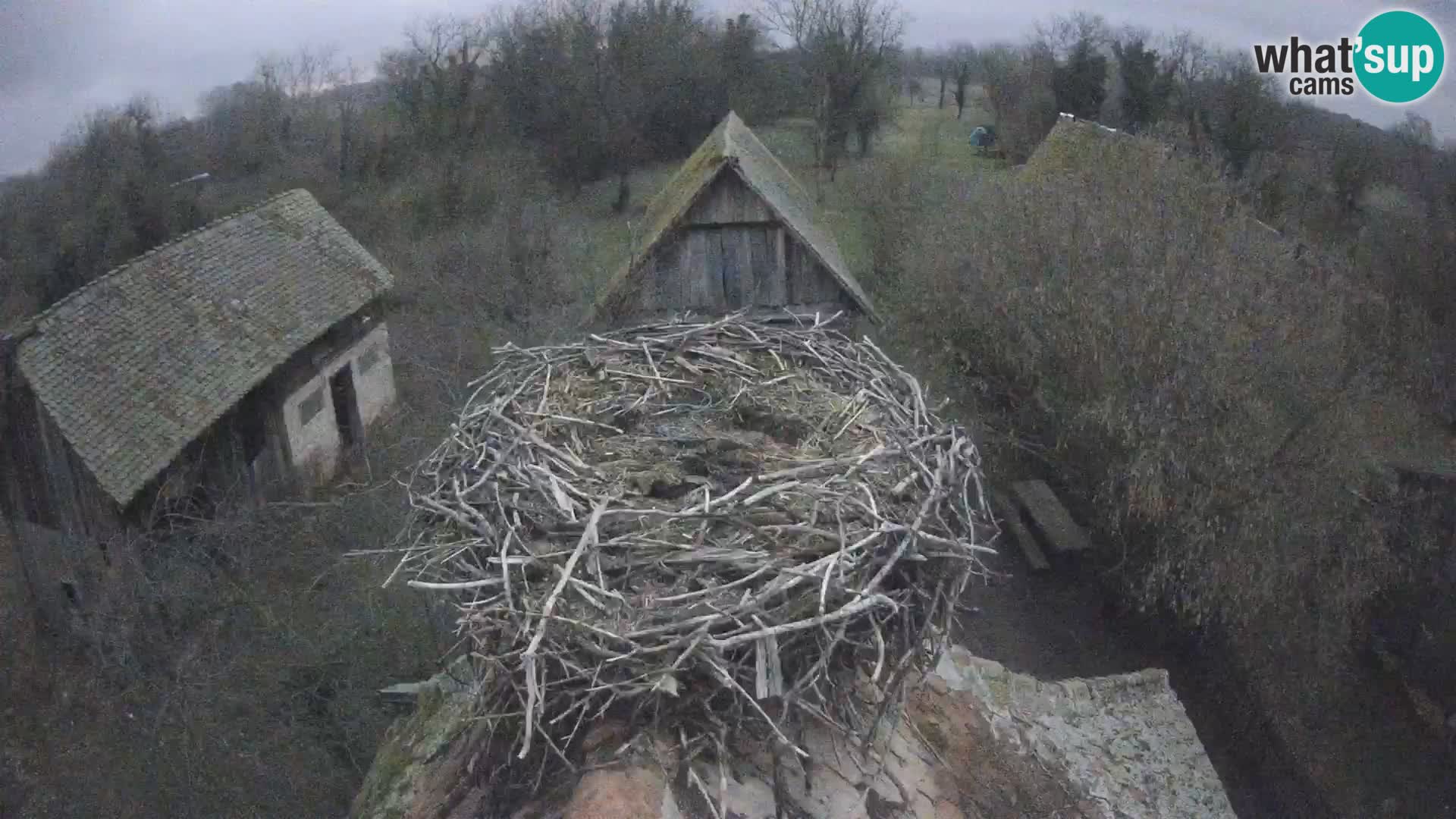 U živo Europsko selo roda – Park prirode Lonjsko polje
