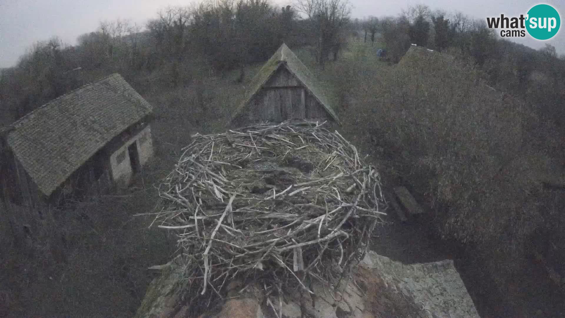 Webcam Europäisches Storchendorf – Naturpark Lonjsko polje