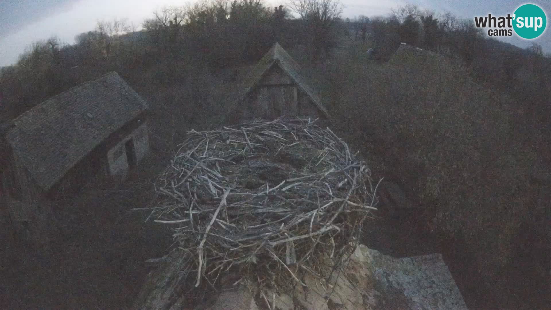 U živo Europsko selo roda – Park prirode Lonjsko polje