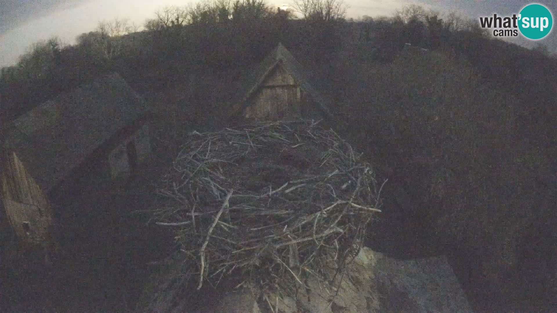 U živo Europsko selo roda – Park prirode Lonjsko polje