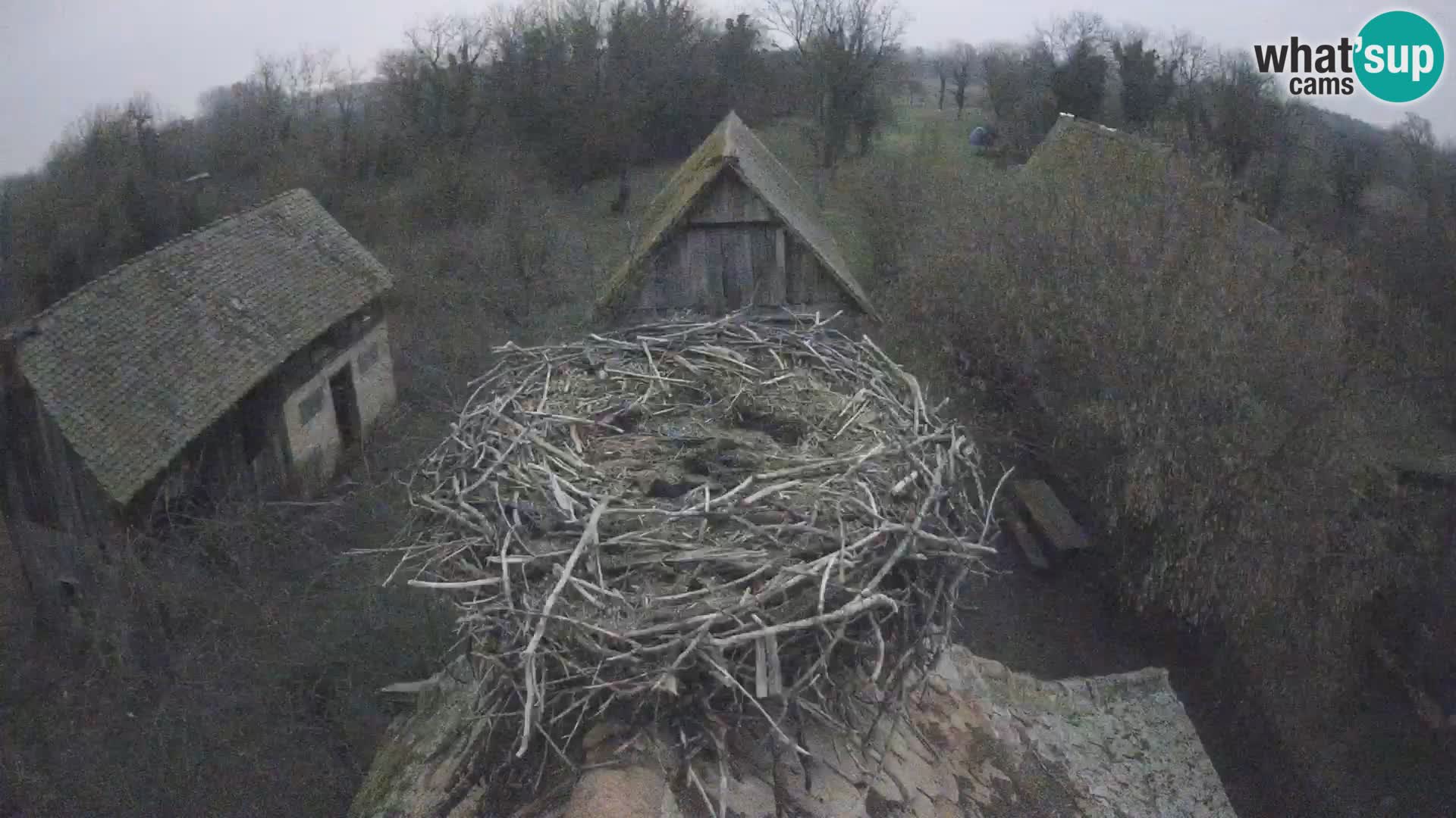 U živo Europsko selo roda – Park prirode Lonjsko polje