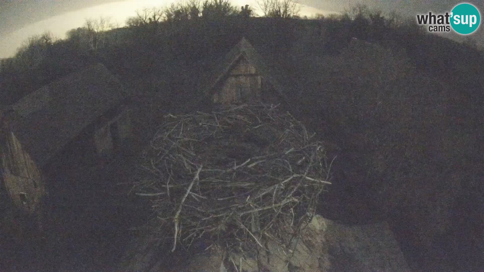 U živo Europsko selo roda – Park prirode Lonjsko polje