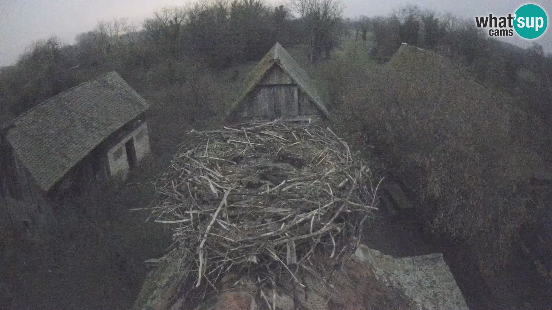 U živo Europsko selo roda – Park prirode Lonjsko polje