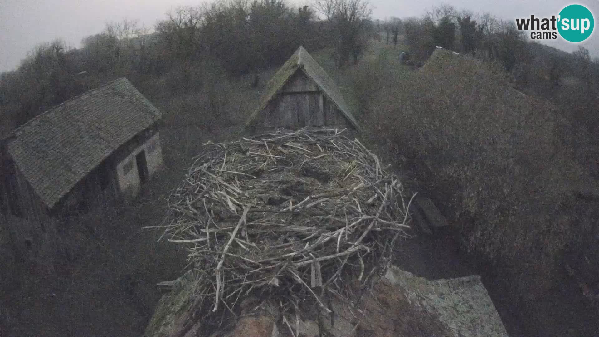 U živo Europsko selo roda – Park prirode Lonjsko polje