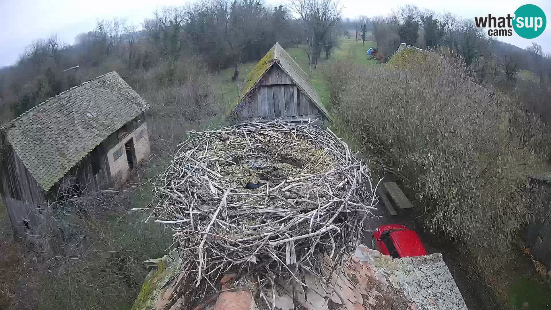U živo Europsko selo roda – Park prirode Lonjsko polje