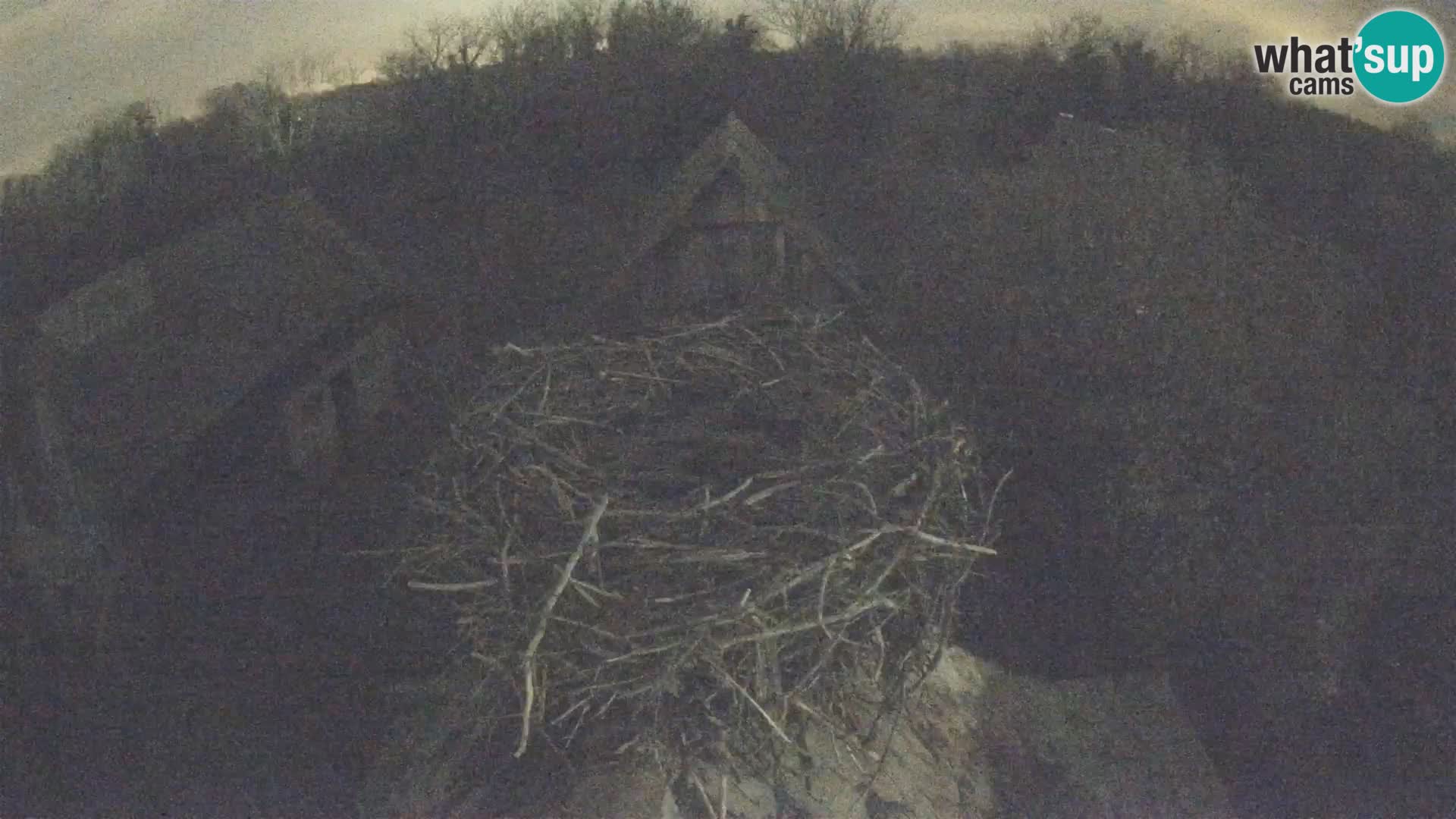 U živo Europsko selo roda – Park prirode Lonjsko polje