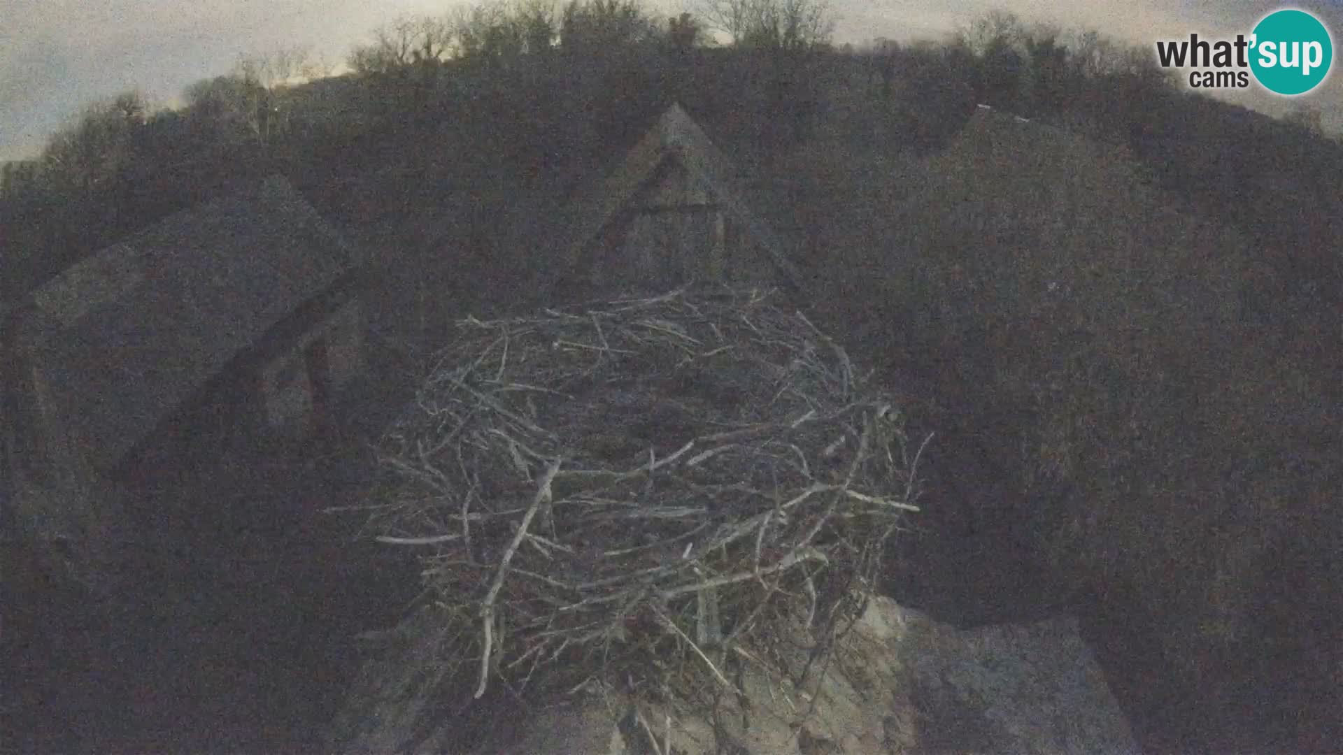 Evropska vas štorklje – Krajinski park Lonjsko polje spletna kamera