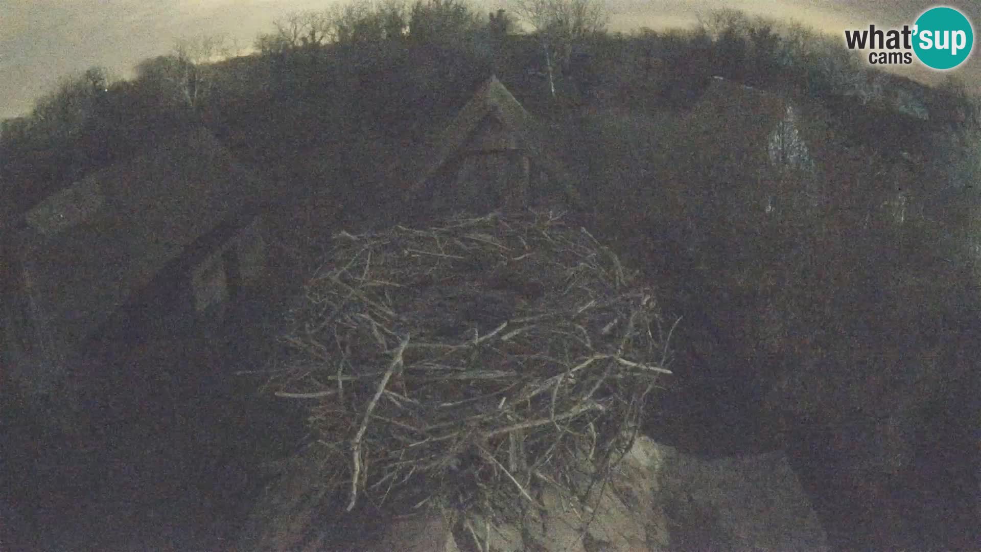 U živo Europsko selo roda – Park prirode Lonjsko polje