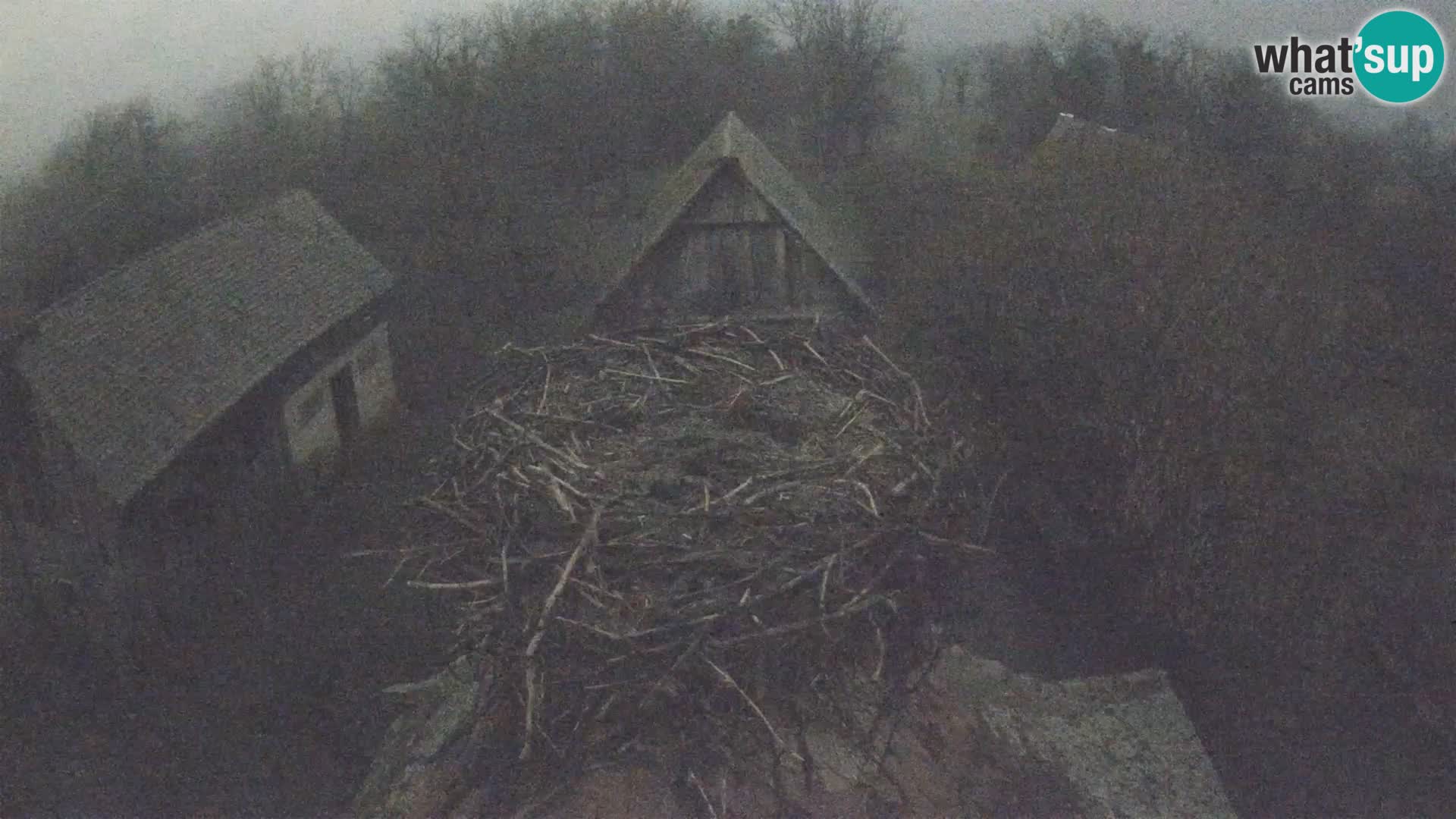 U živo Europsko selo roda – Park prirode Lonjsko polje