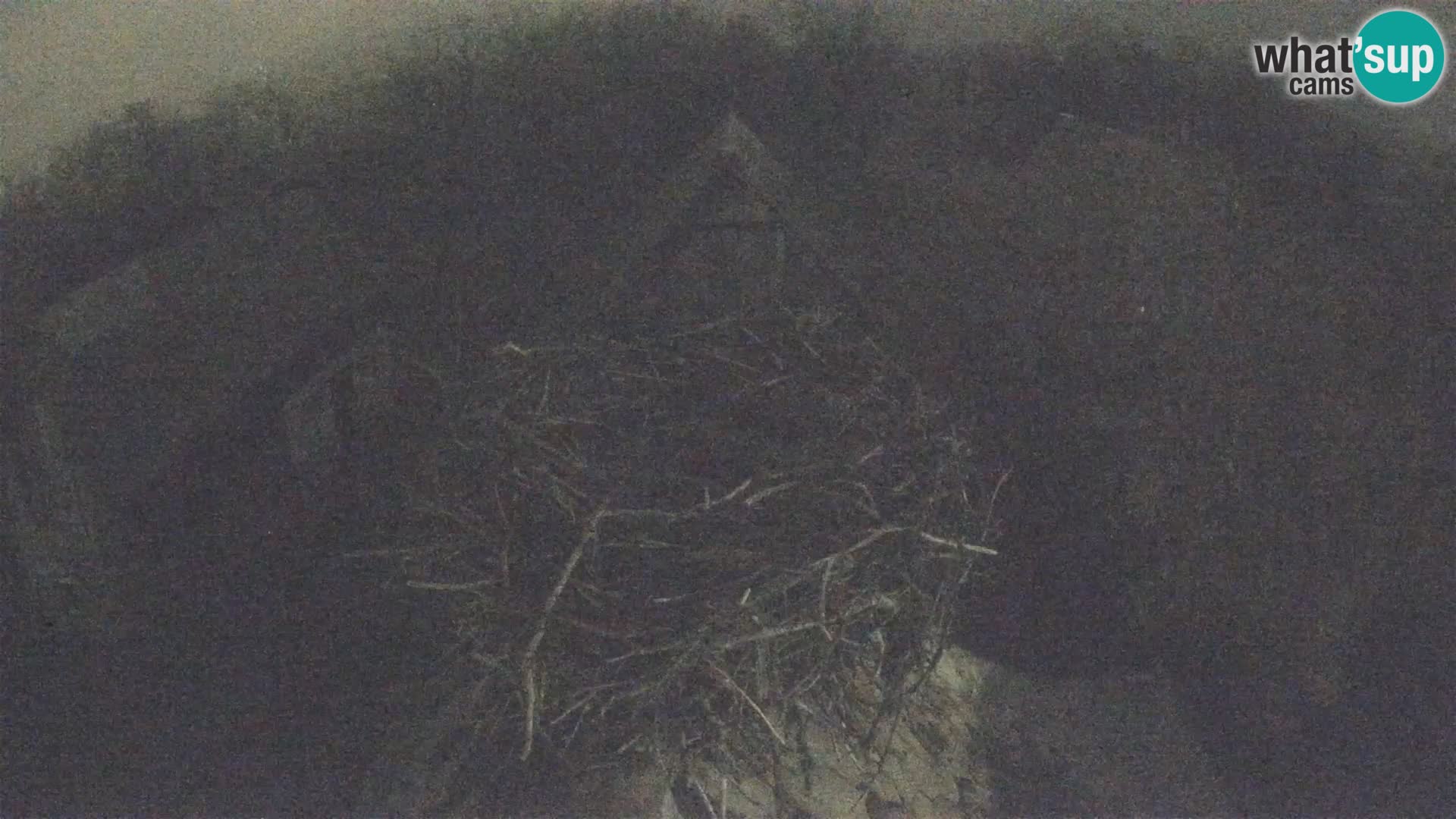 U živo Europsko selo roda – Park prirode Lonjsko polje