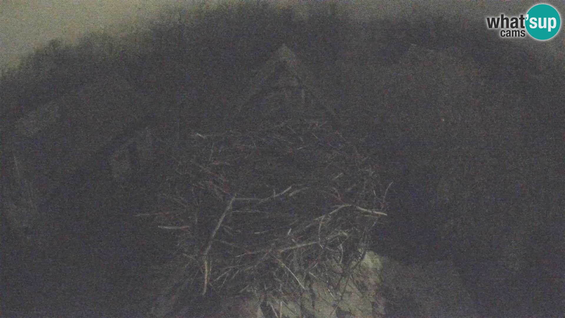 Live webcam European stork village – Lonjsko polje Nature Park