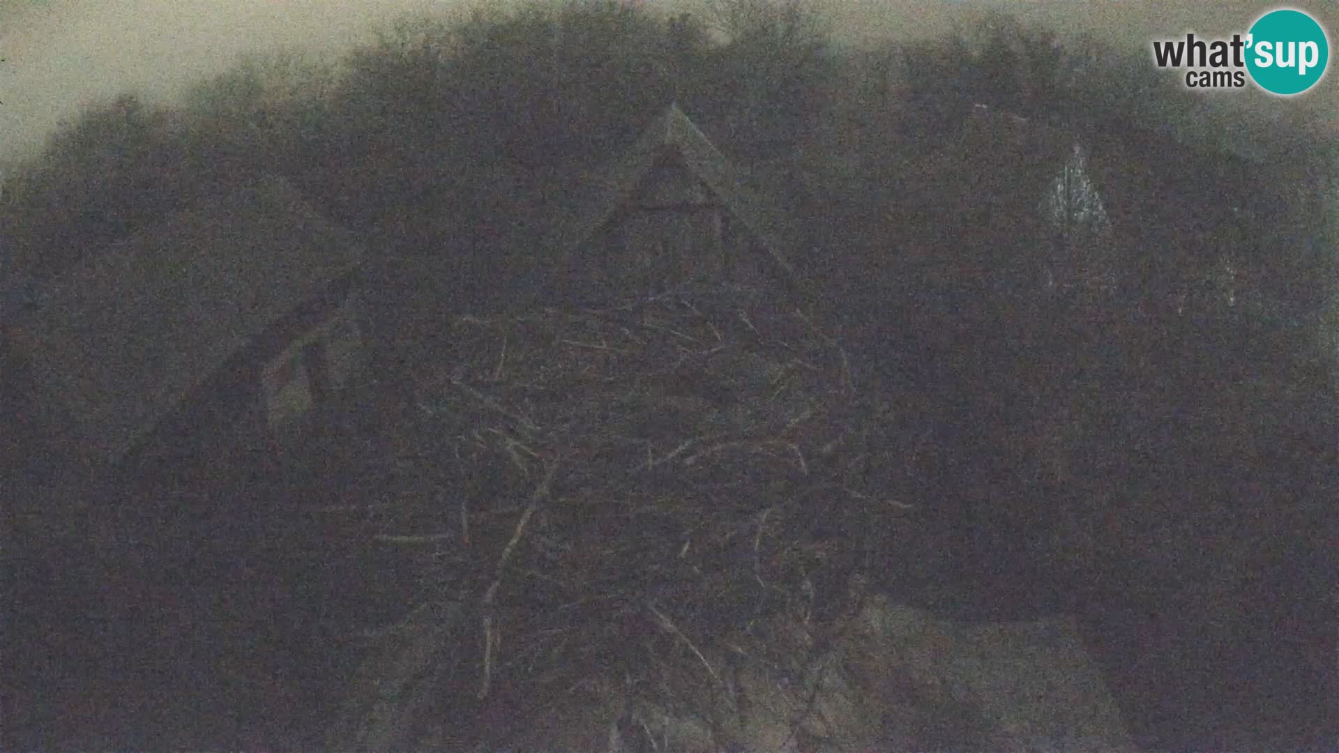 Pueblo europeo de cigüeñas camera en vivo Parque Natural Lonjsko polje