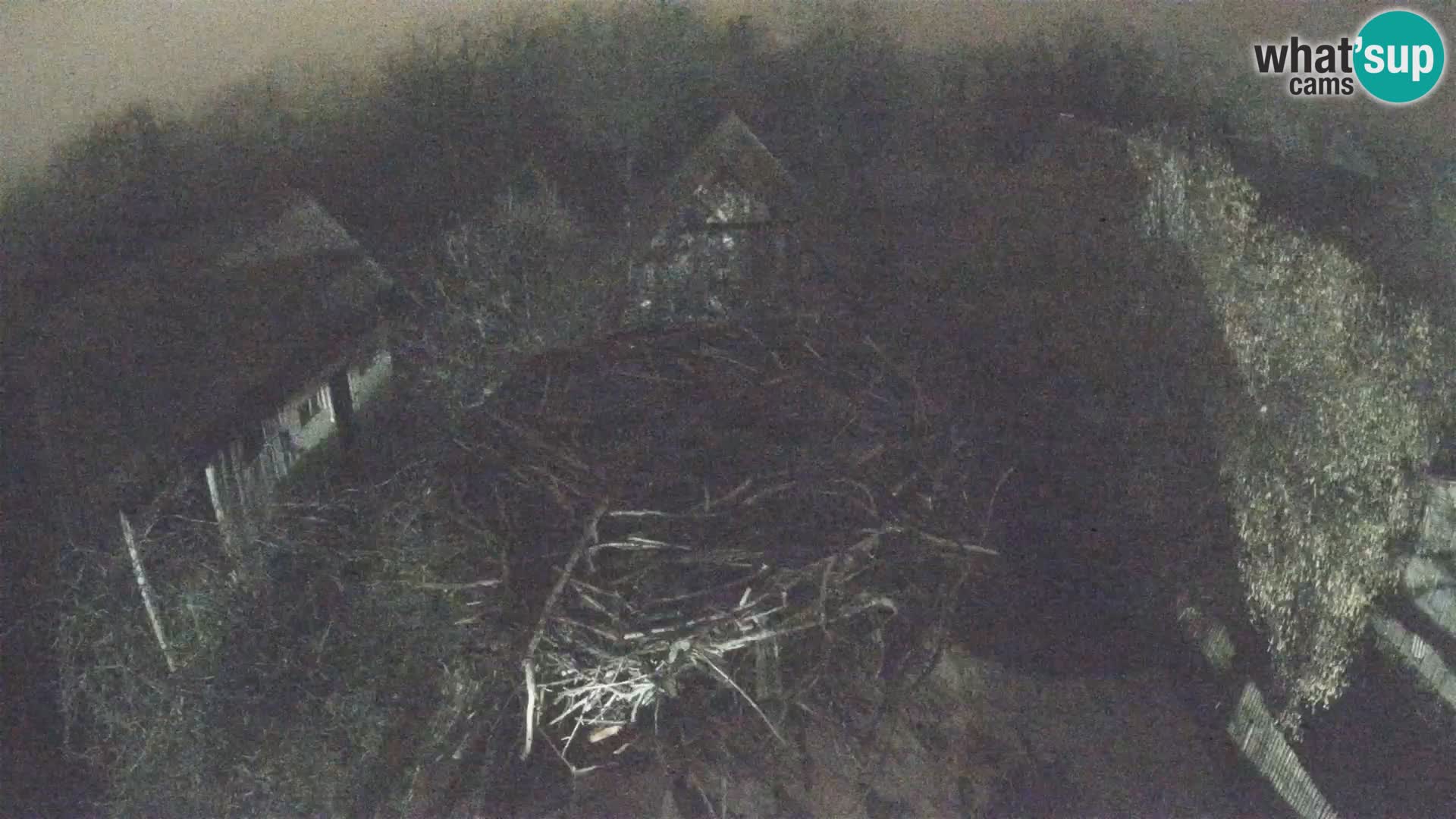 U živo Europsko selo roda – Park prirode Lonjsko polje