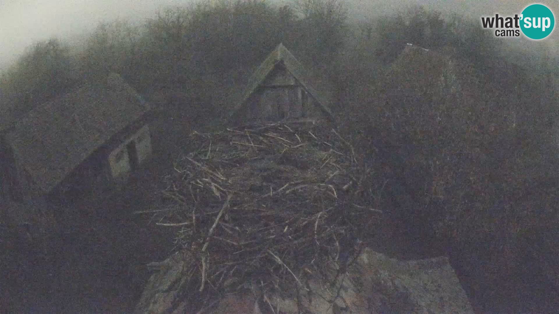 U živo Europsko selo roda – Park prirode Lonjsko polje