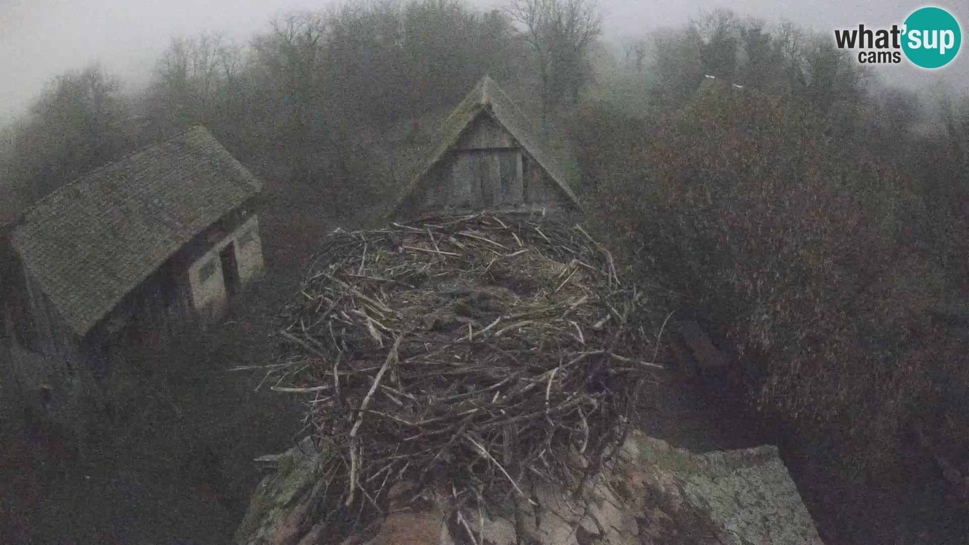 U živo Europsko selo roda – Park prirode Lonjsko polje