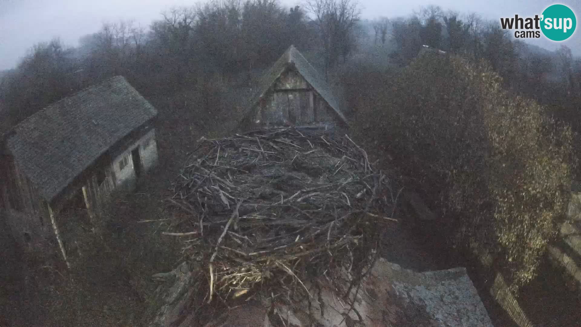 U živo Europsko selo roda – Park prirode Lonjsko polje
