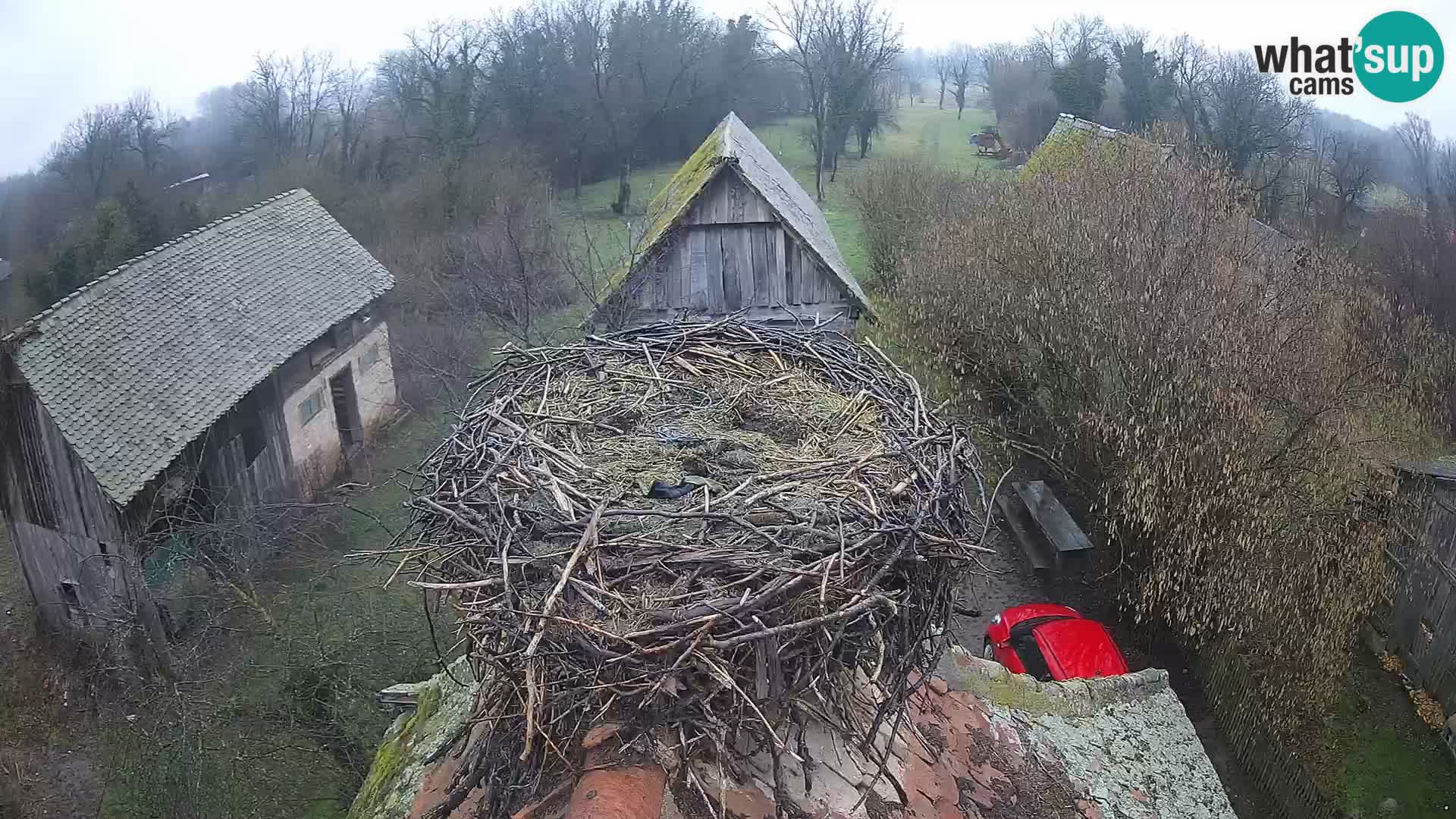 U živo Europsko selo roda – Park prirode Lonjsko polje