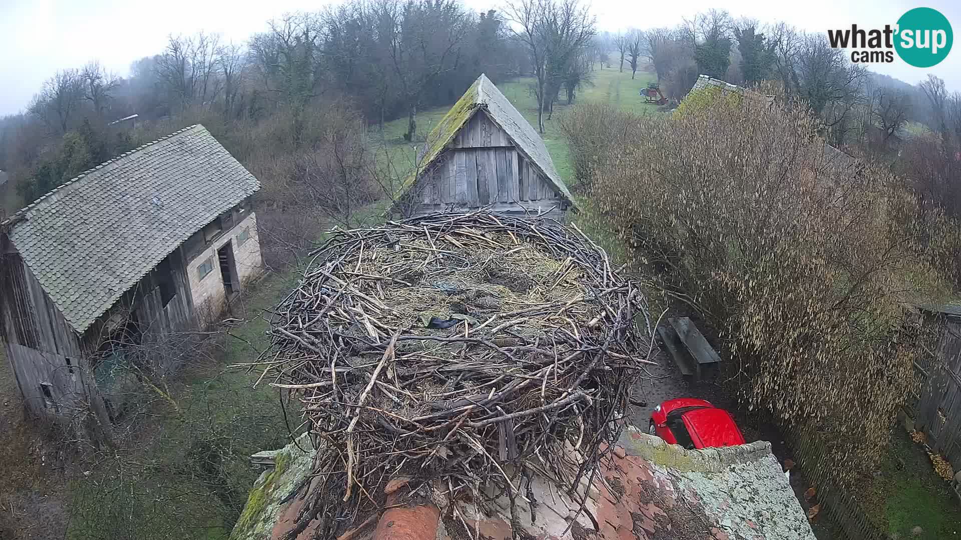 U živo Europsko selo roda – Park prirode Lonjsko polje