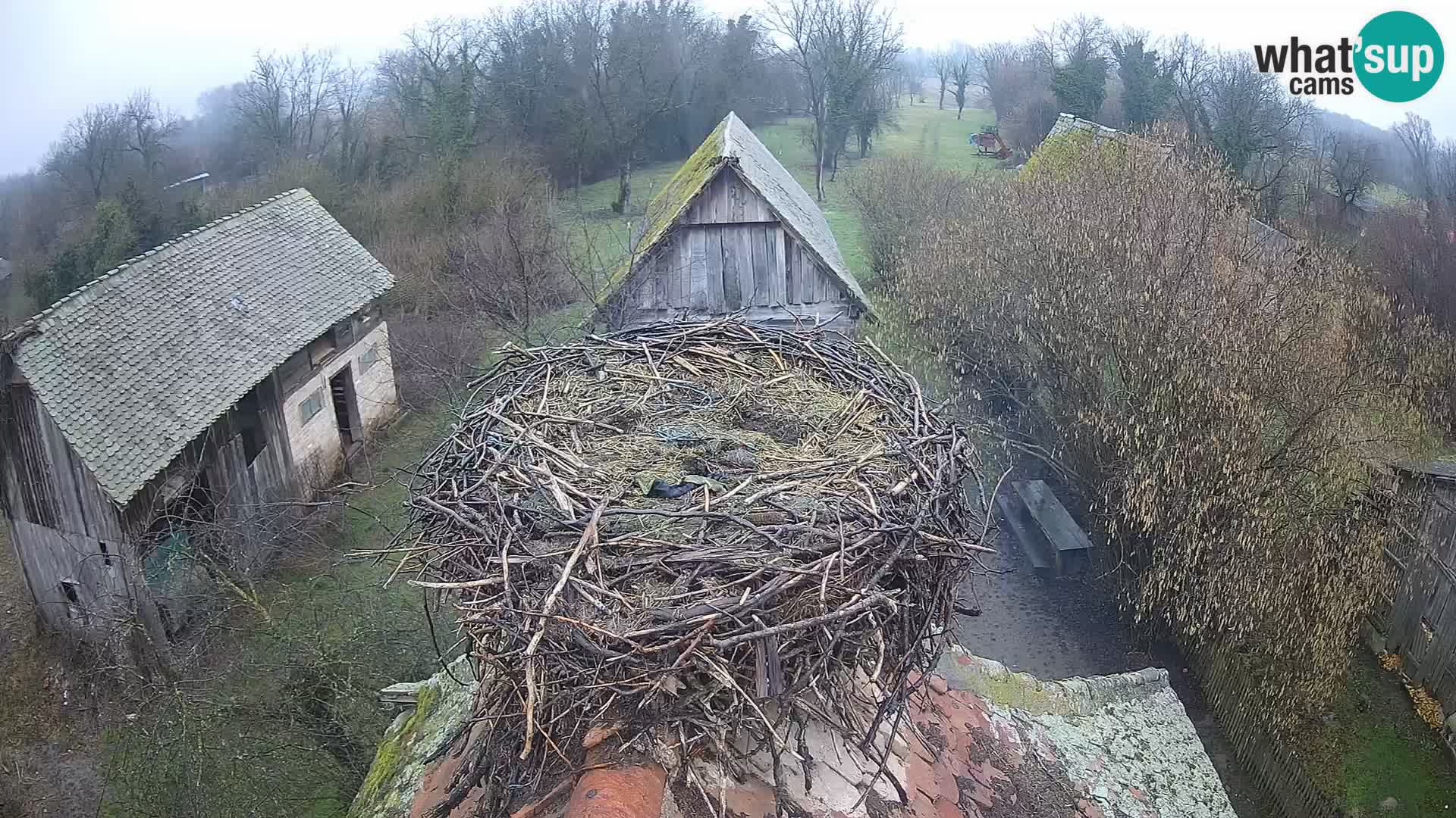 U živo Europsko selo roda – Park prirode Lonjsko polje
