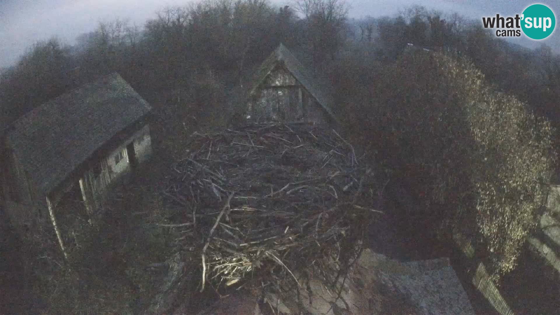 Webcam Europäisches Storchendorf – Naturpark Lonjsko polje