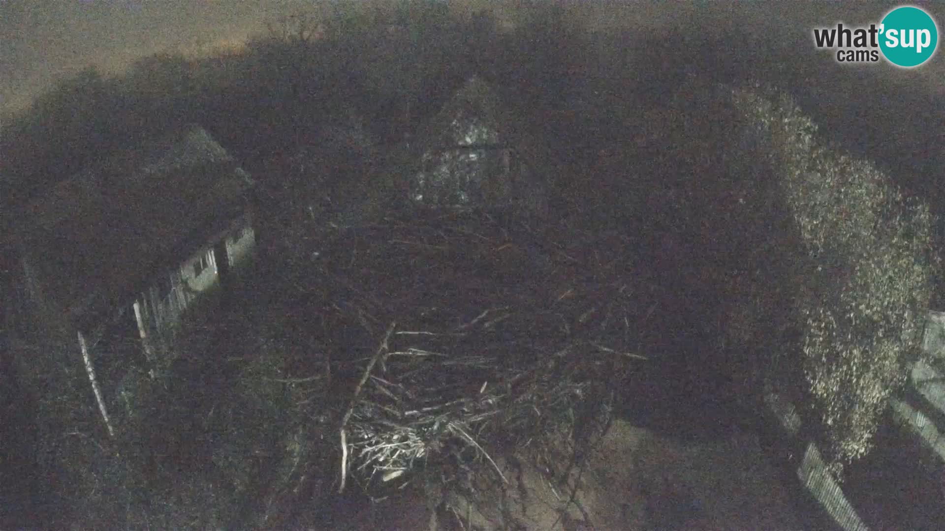 Villaggio delle cicogne europee webcam Parco naturale di Lonjsko polje