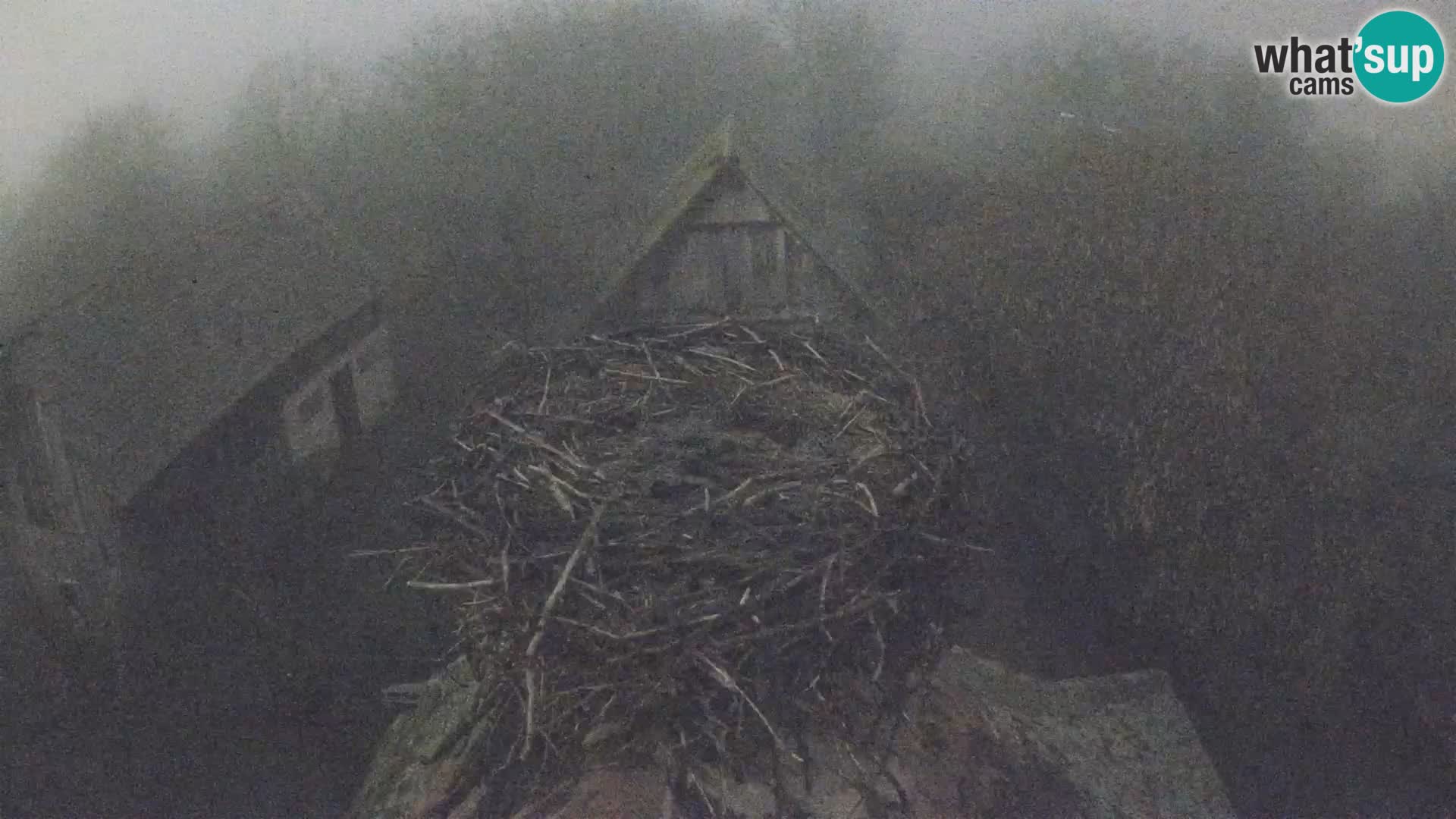 U živo Europsko selo roda – Park prirode Lonjsko polje