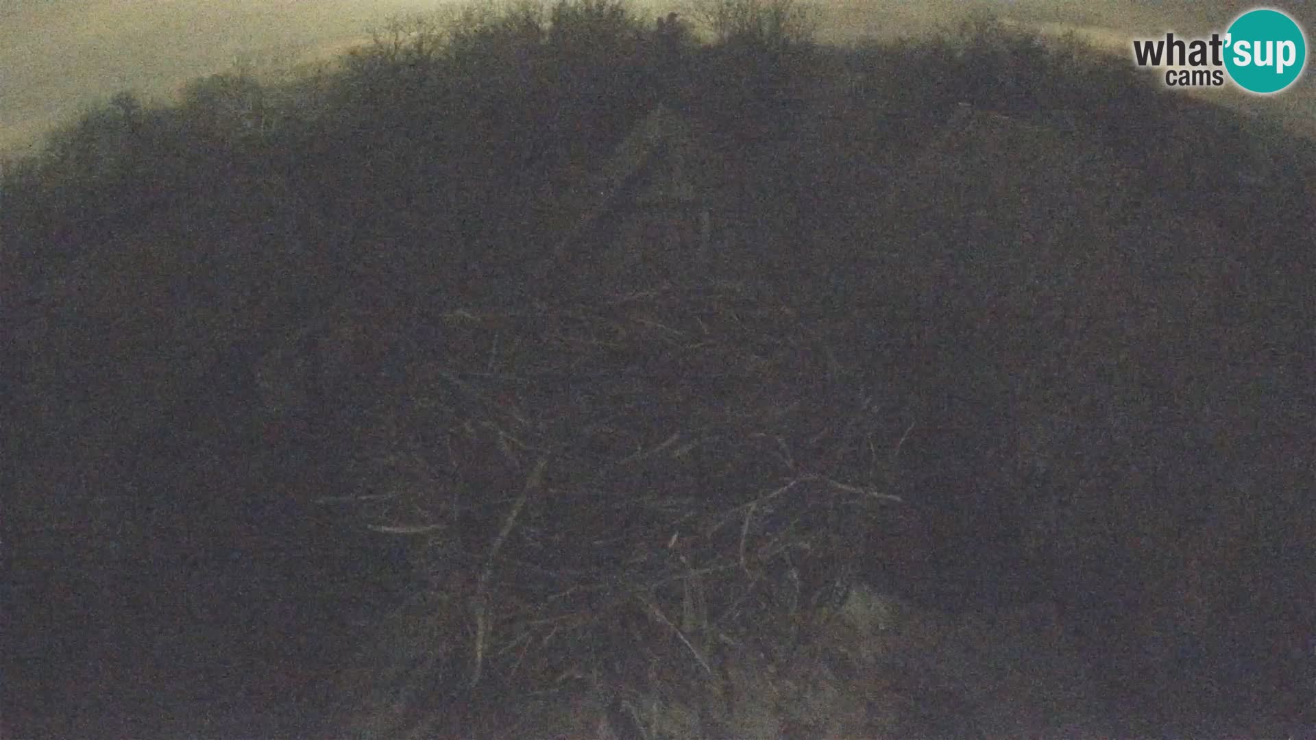 U živo Europsko selo roda – Park prirode Lonjsko polje