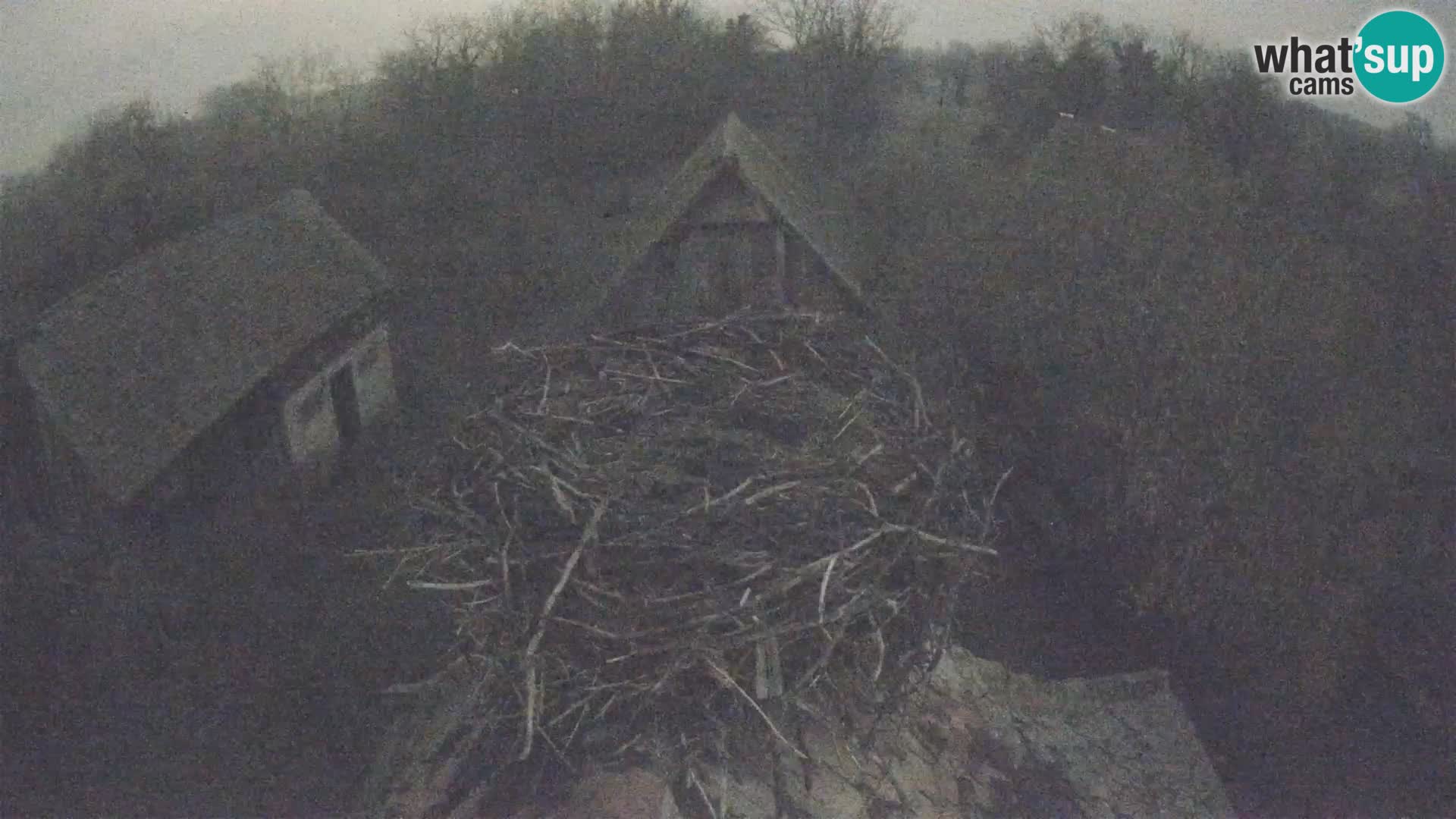 U živo Europsko selo roda – Park prirode Lonjsko polje