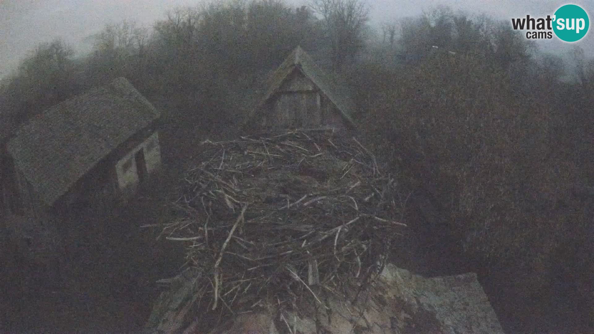 Webcam Europäisches Storchendorf – Naturpark Lonjsko polje