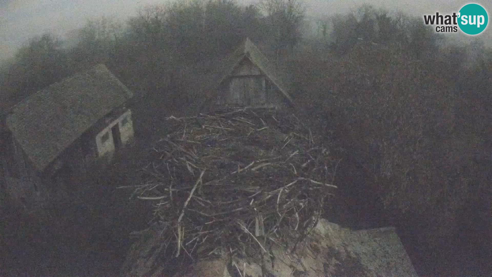 U živo Europsko selo roda – Park prirode Lonjsko polje