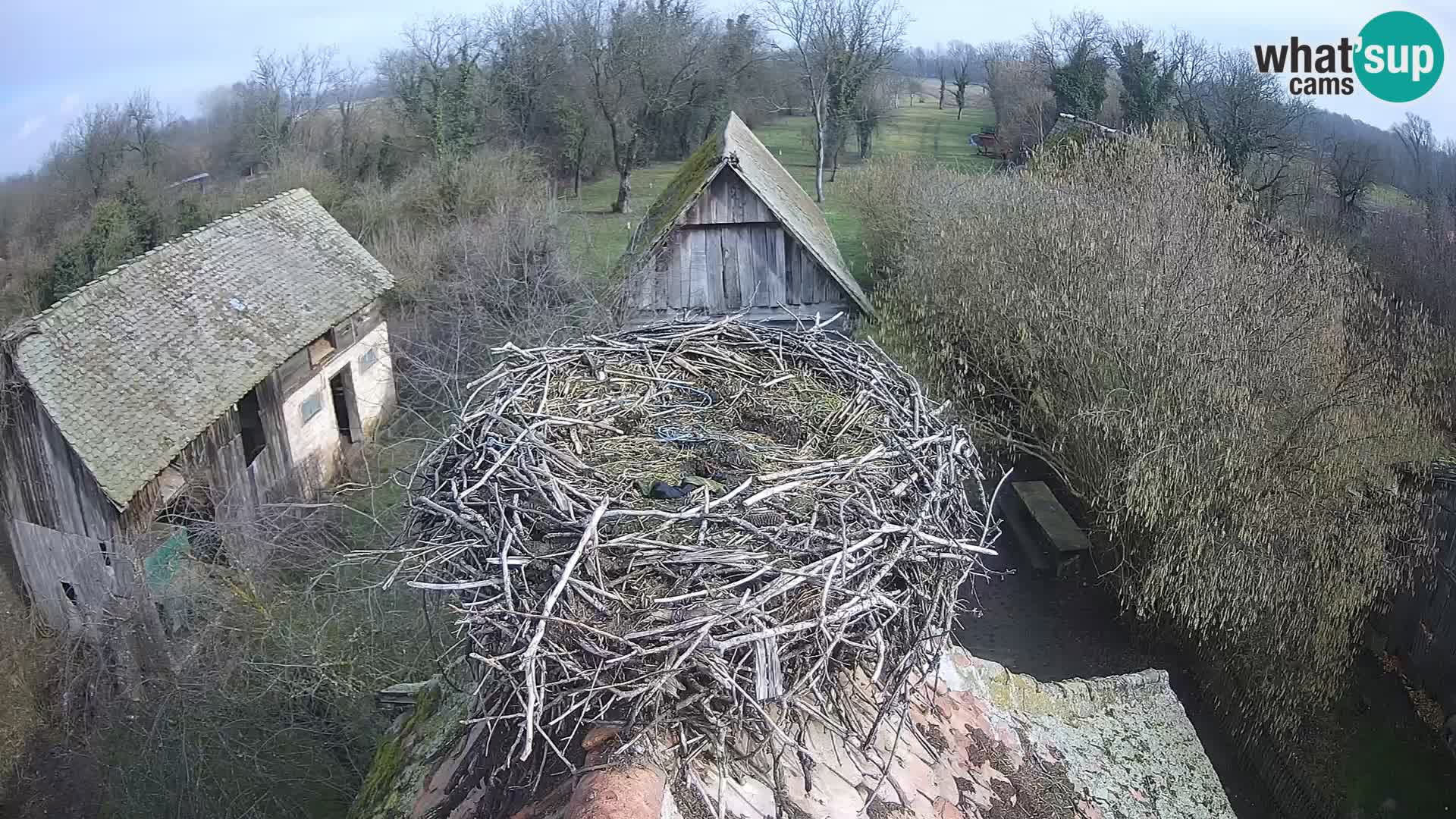 U živo Europsko selo roda – Park prirode Lonjsko polje