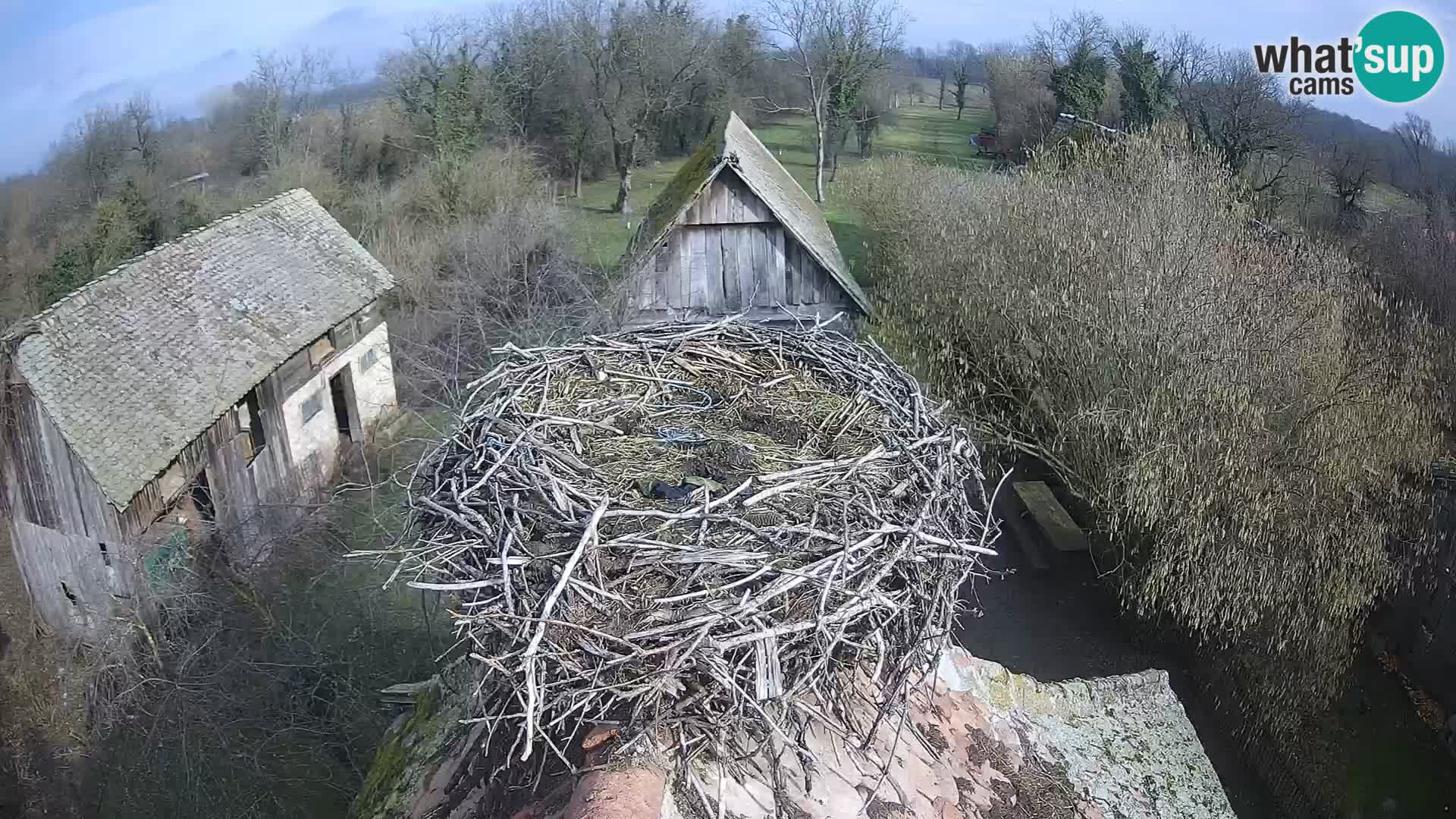 U živo Europsko selo roda – Park prirode Lonjsko polje