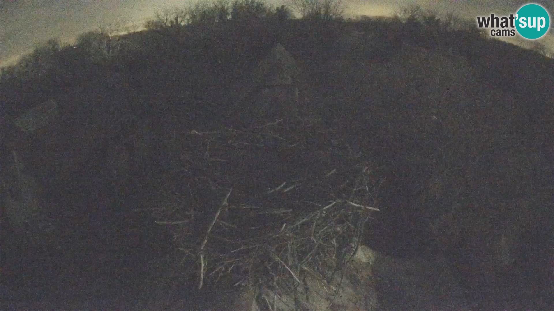 Villaggio delle cicogne europee webcam Parco naturale di Lonjsko polje