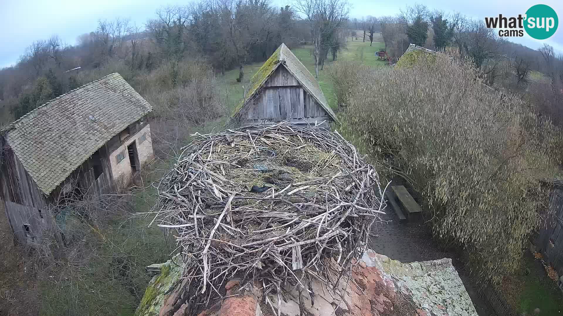 U živo Europsko selo roda – Park prirode Lonjsko polje