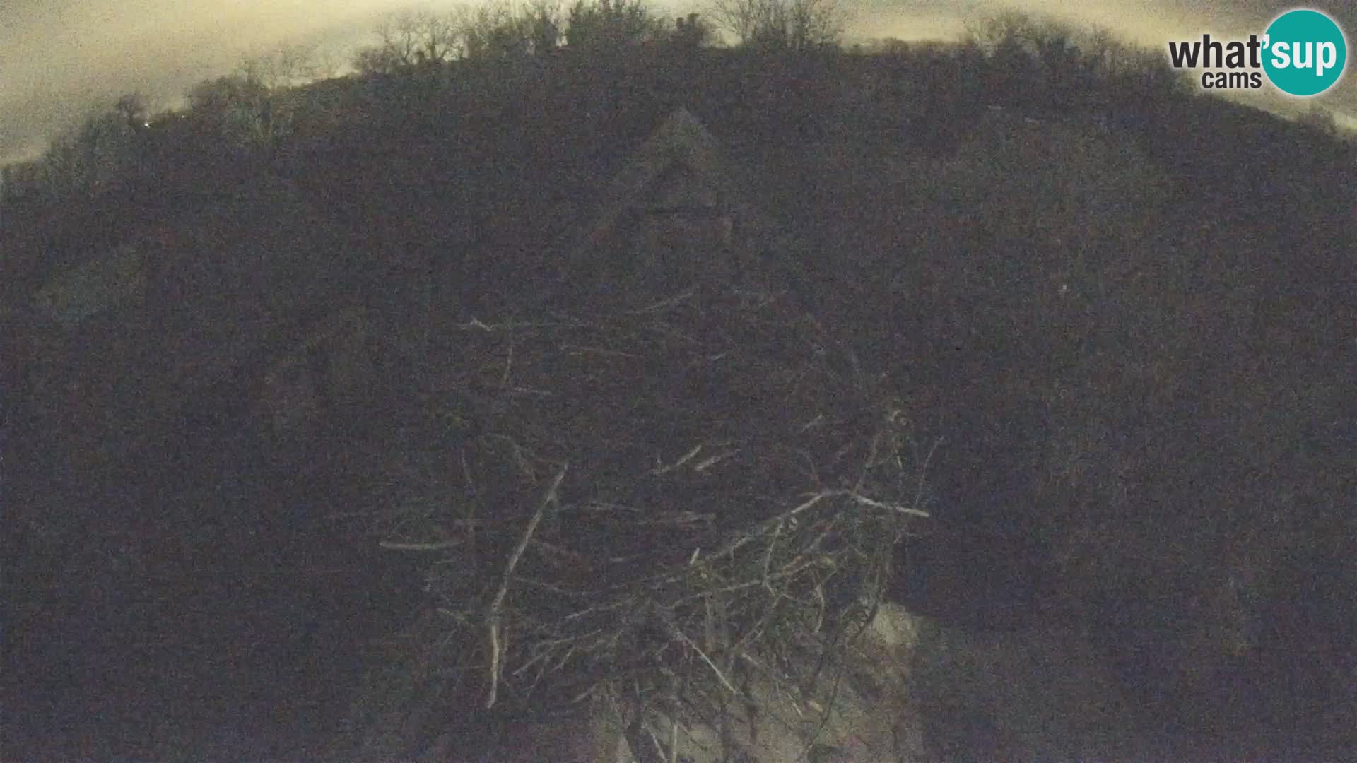 U živo Europsko selo roda – Park prirode Lonjsko polje