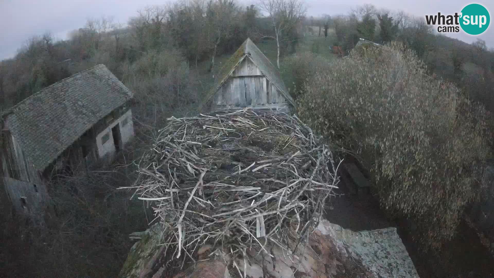 U živo Europsko selo roda – Park prirode Lonjsko polje